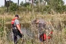 Human arm found in alligator’s mouth at ‘Hungryland’ Florida preserve sparks homicide investigation