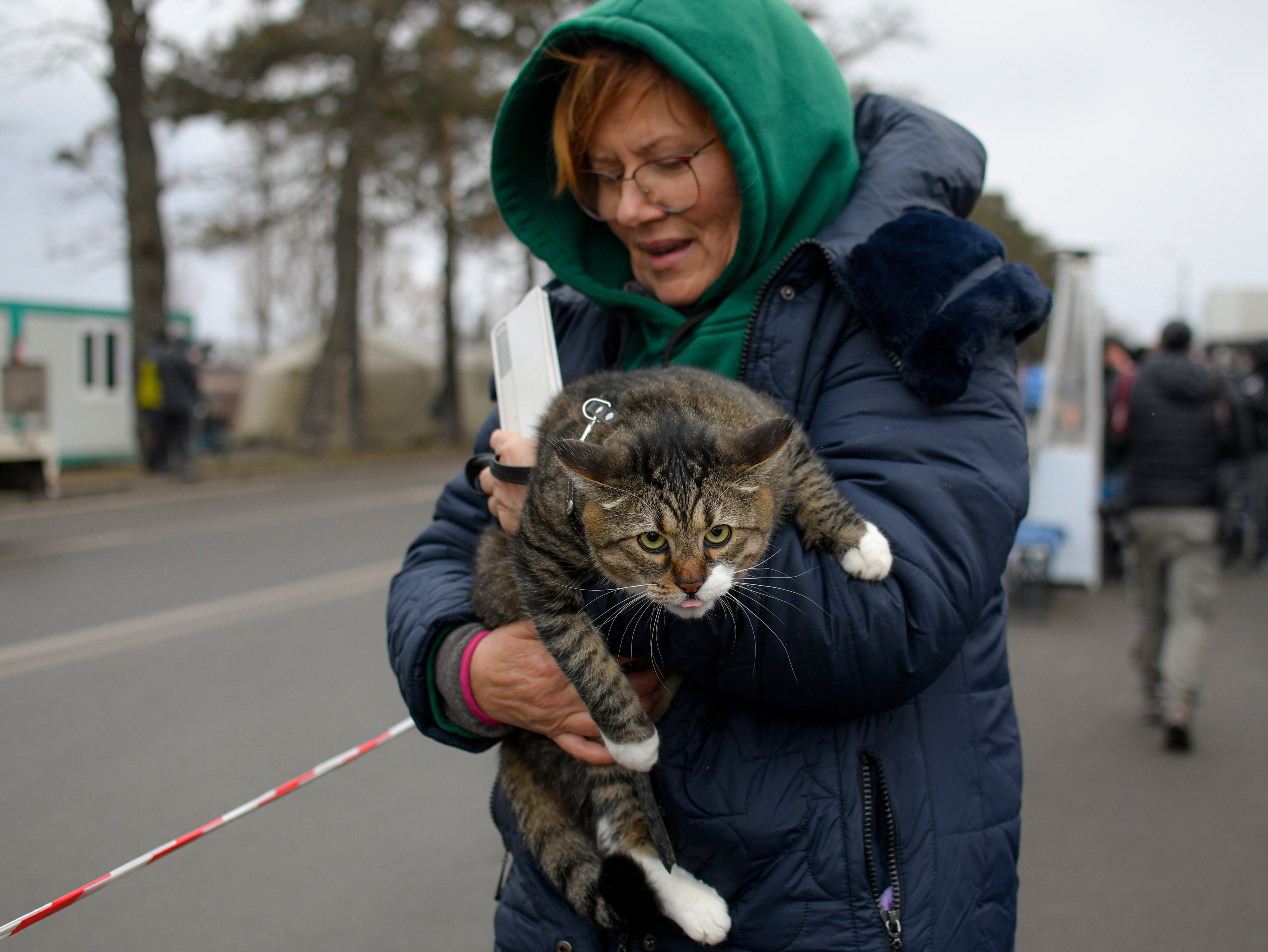 A refugee and her cat at the Romanian-Ukrainian border