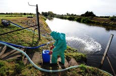 Local environmentalists ‘should sit on water firm boards to combat sewage dumps’