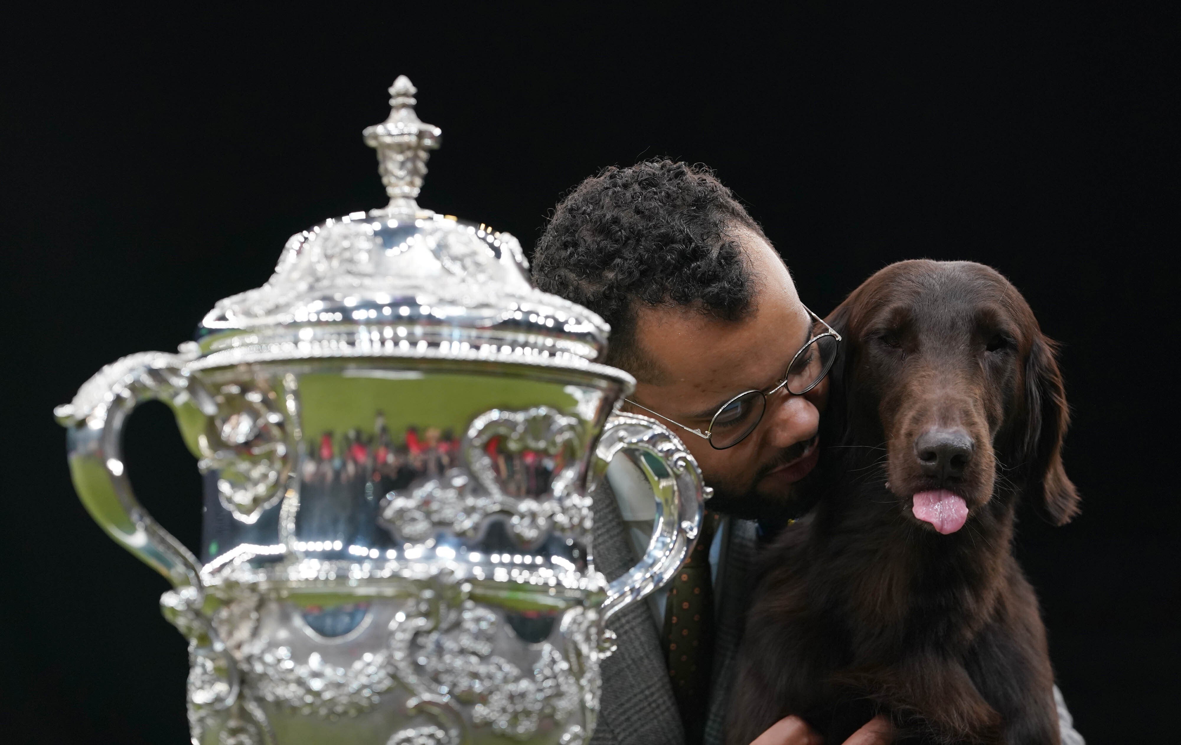 Gundog winner Baxer, a flat-coated retriever, has won Best In Show on the final day of Crufts (PA)