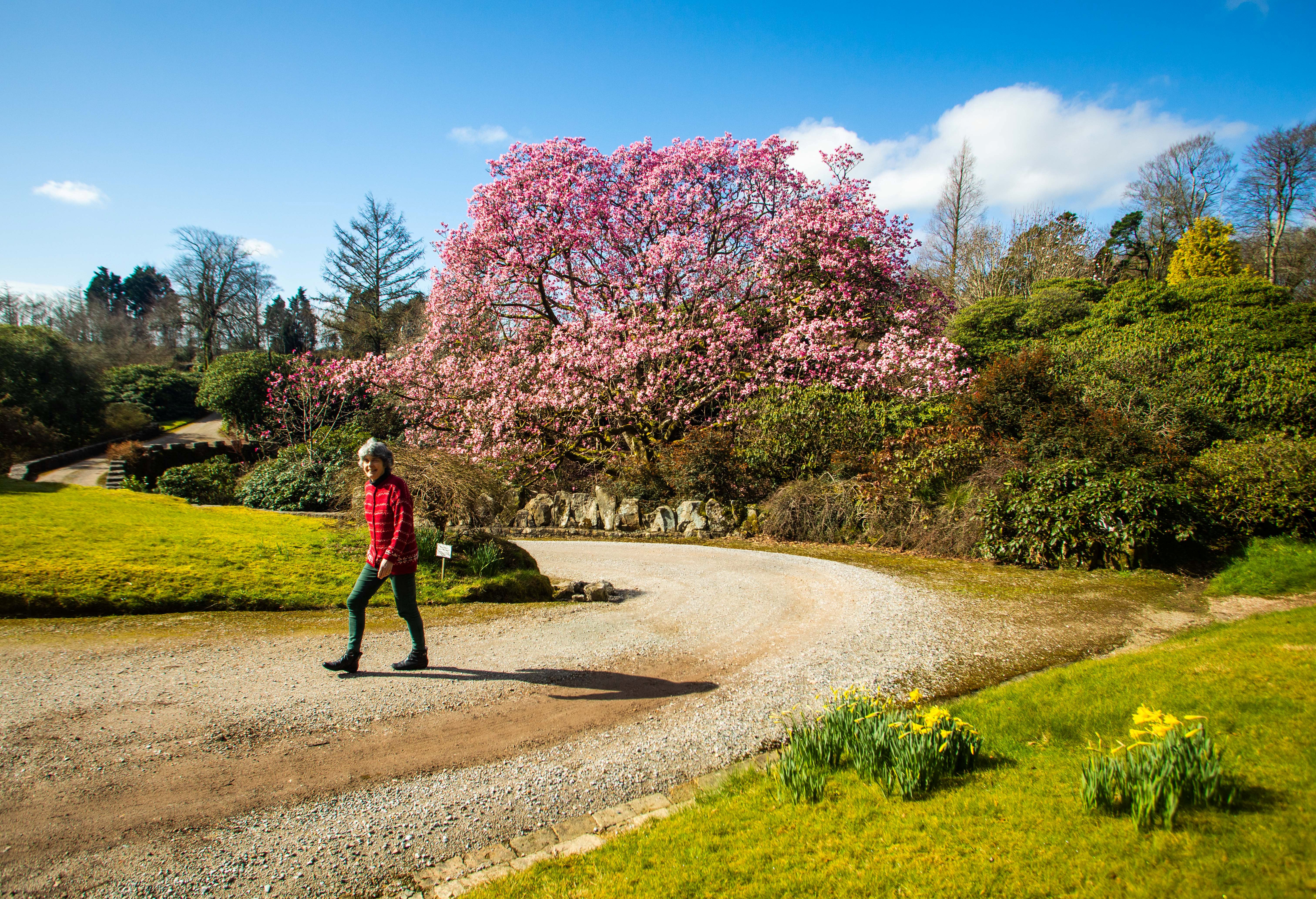 Parts of Britain set to be warmer than temperatures forecasted in Rome this week