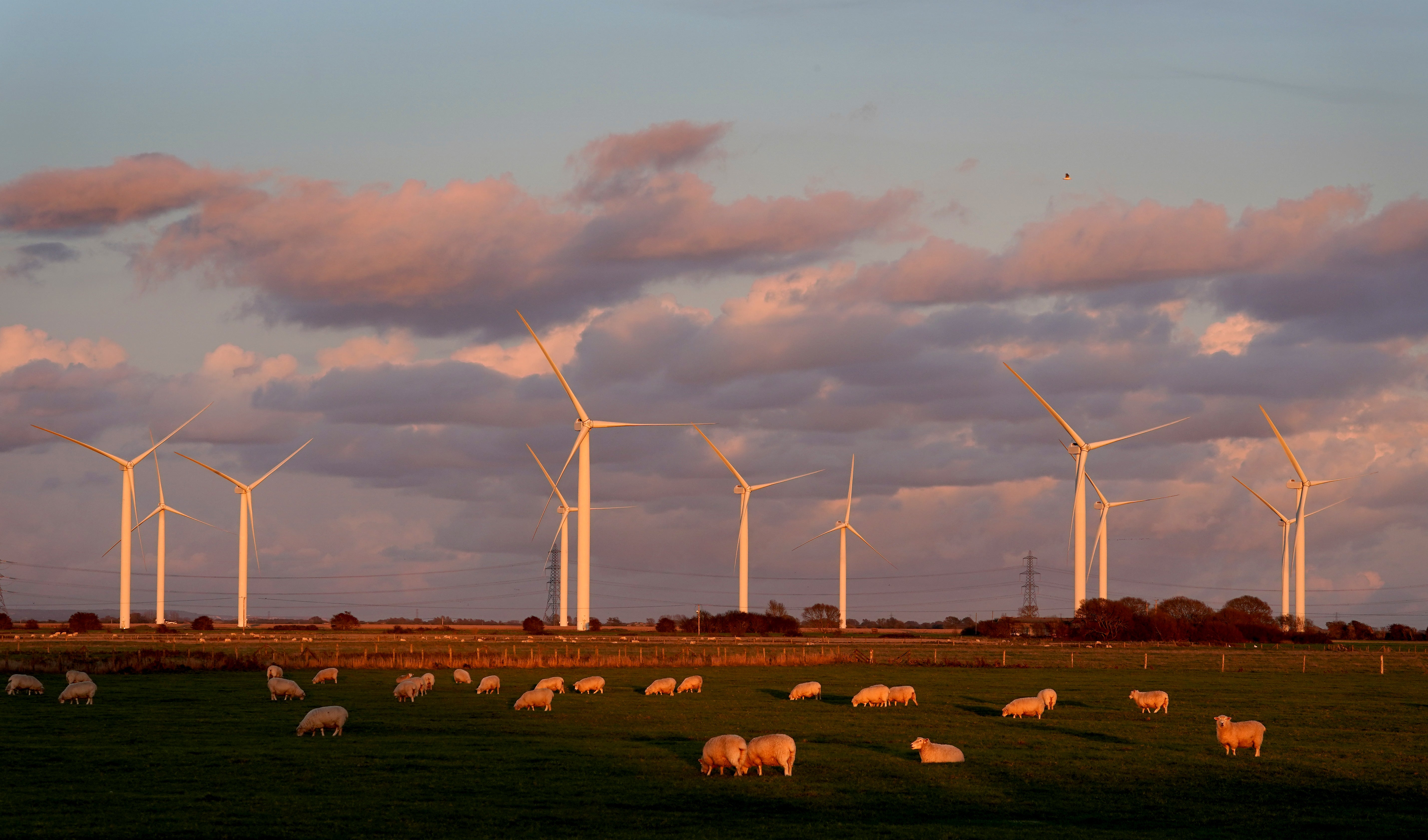 Campaigners are calling for action to increase renewables including onshore wind (Gareth Fuller/PA)