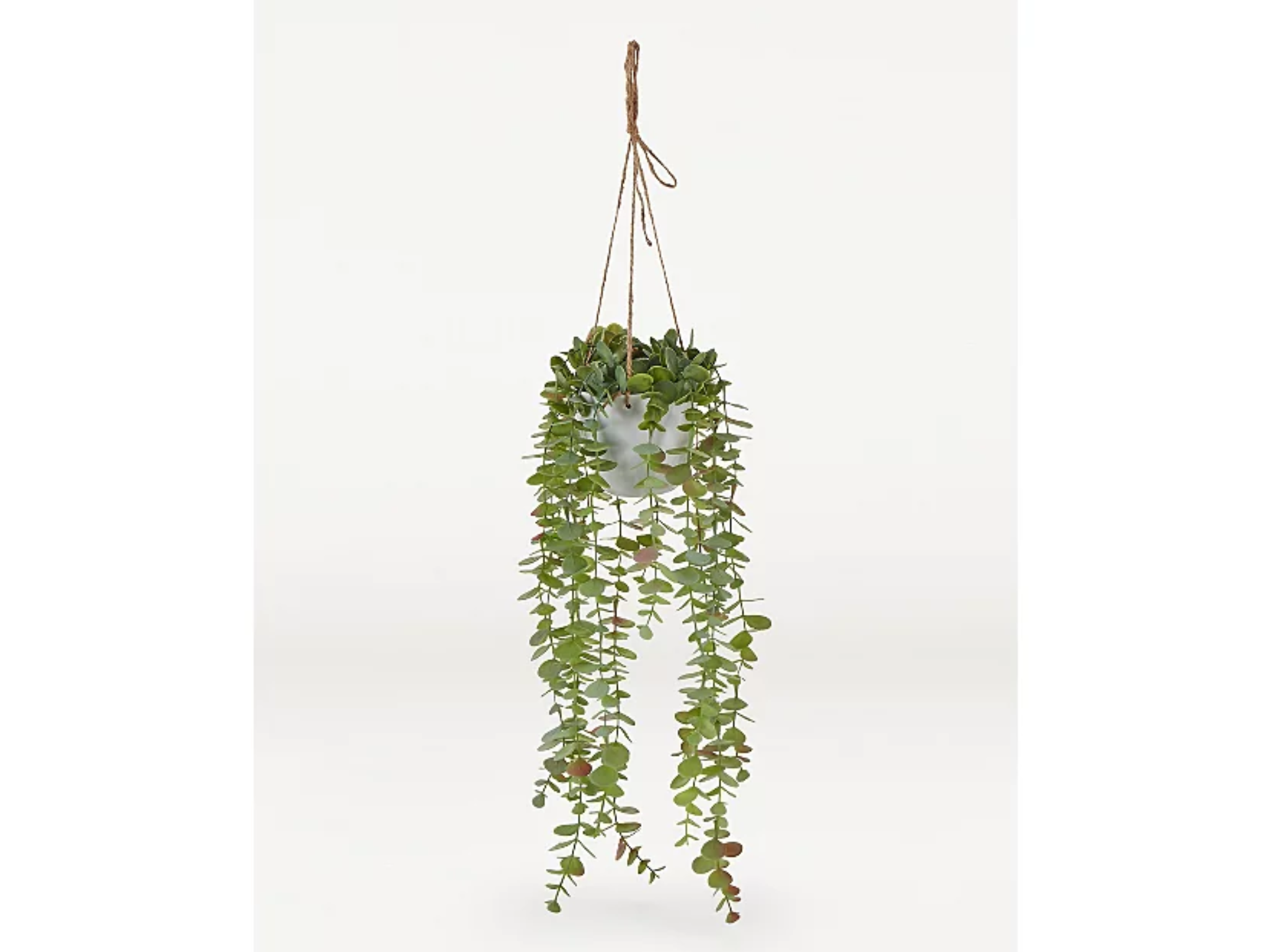 asda-best-artificial-hanging-plant.png