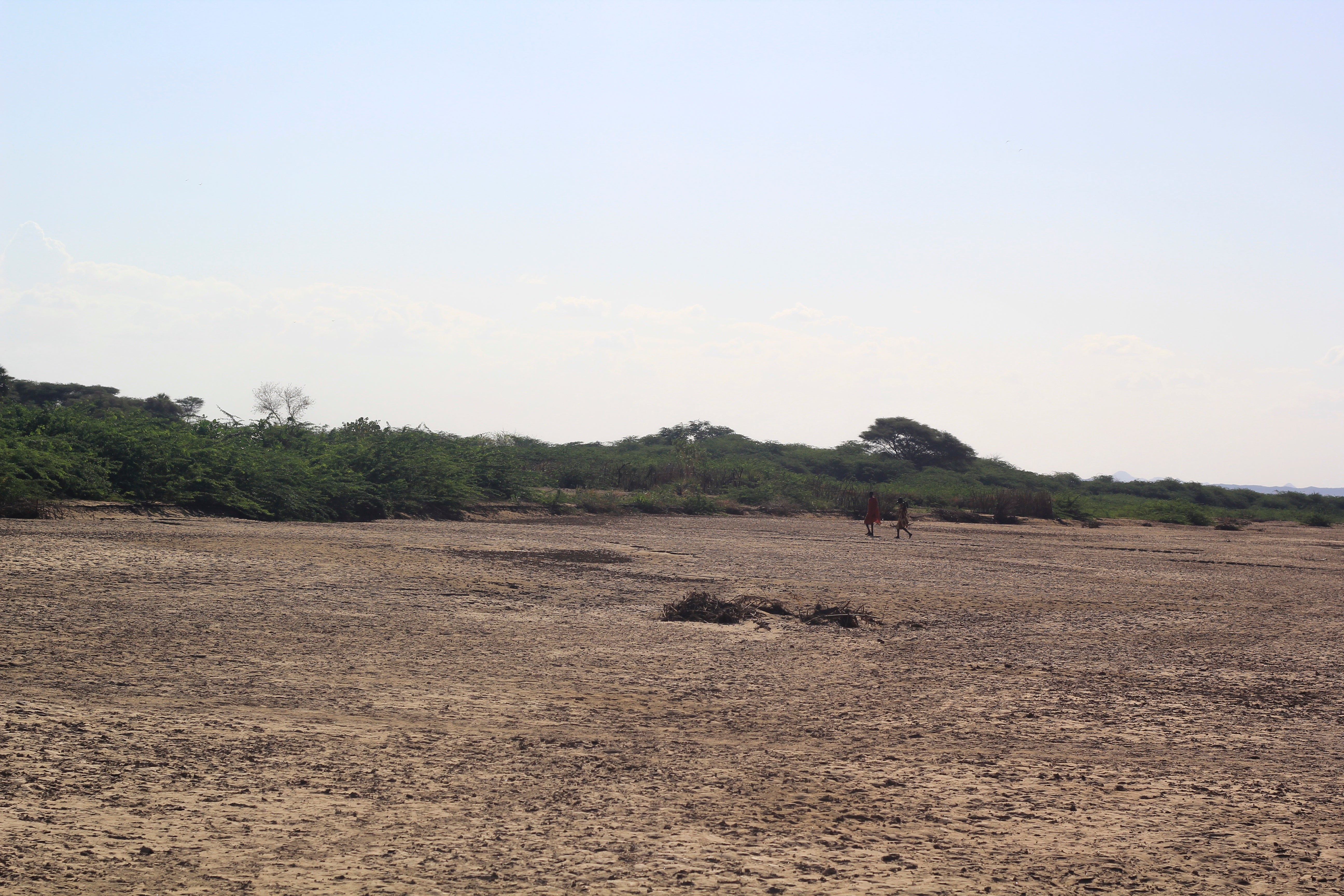 The Kerio River, dry, with invasive Mesquite growing along its bank