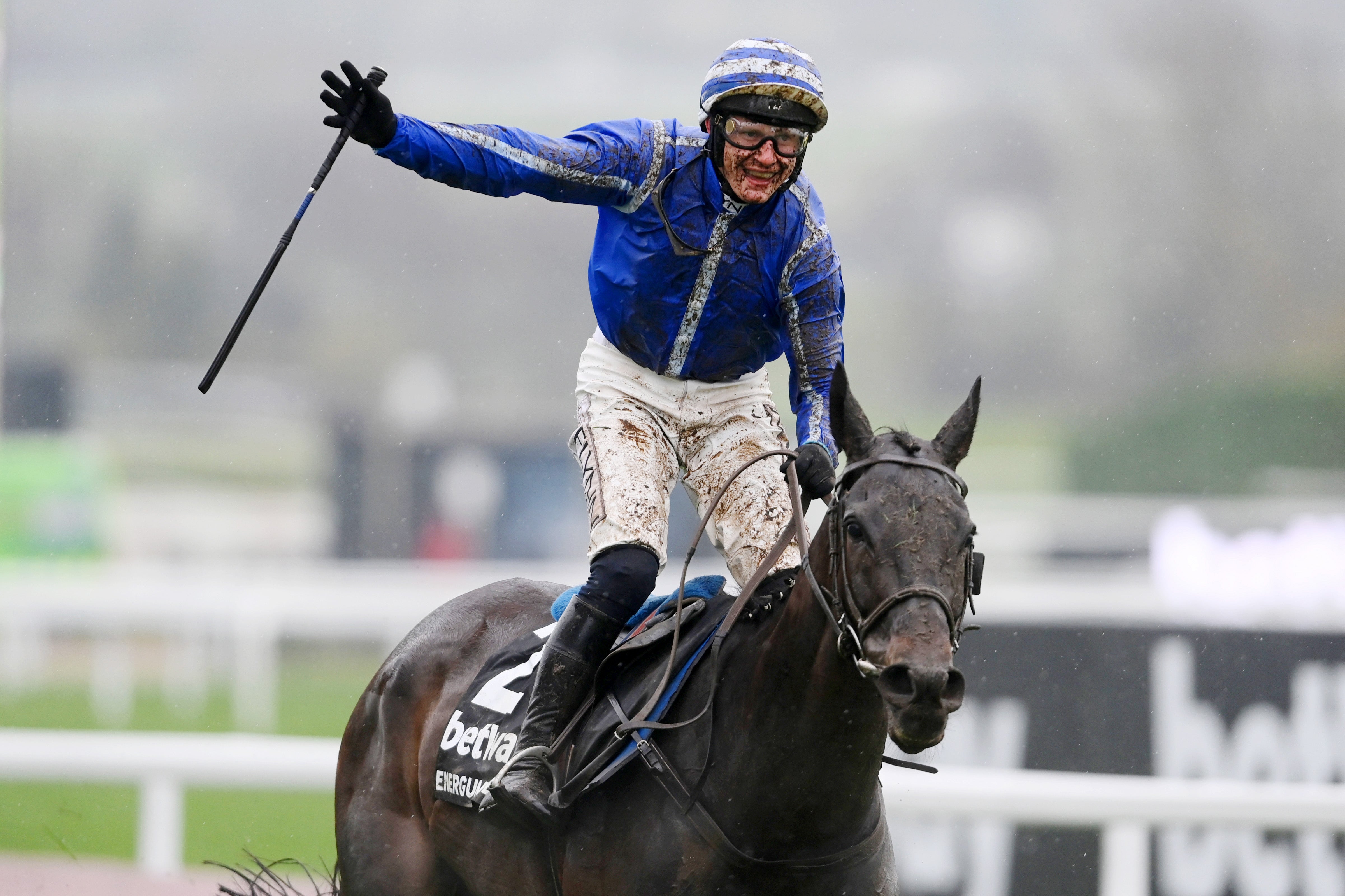 Cheltenham Festival results: Every race winner and schedule for 2022 meeting