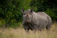 Residents in Botswana’s Okavango Delta want to be included in anti-poaching efforts