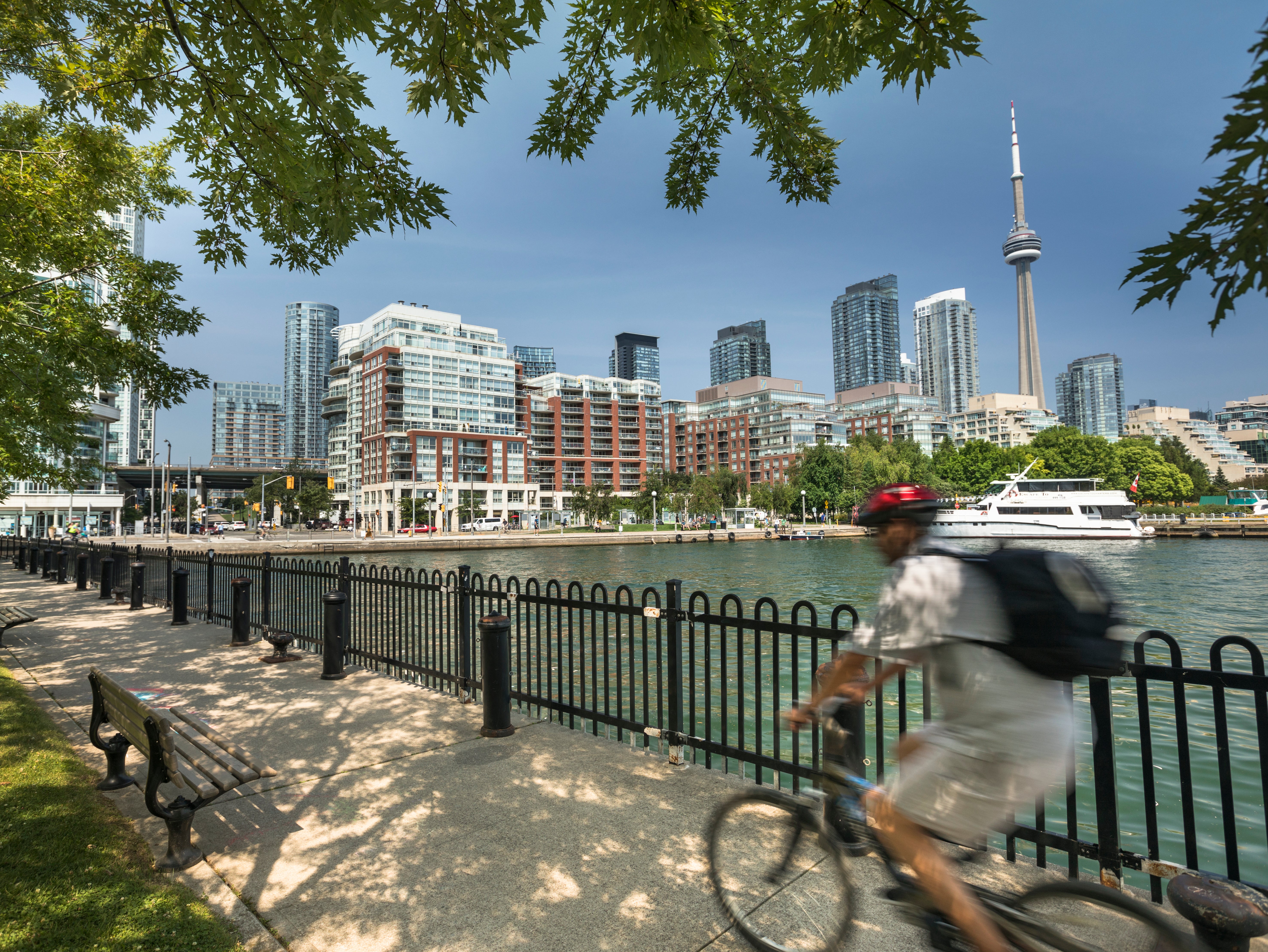 Environmental conditions in the centre of Toronto are more like those in downtown Tokyo than surrounding farmland, the research found