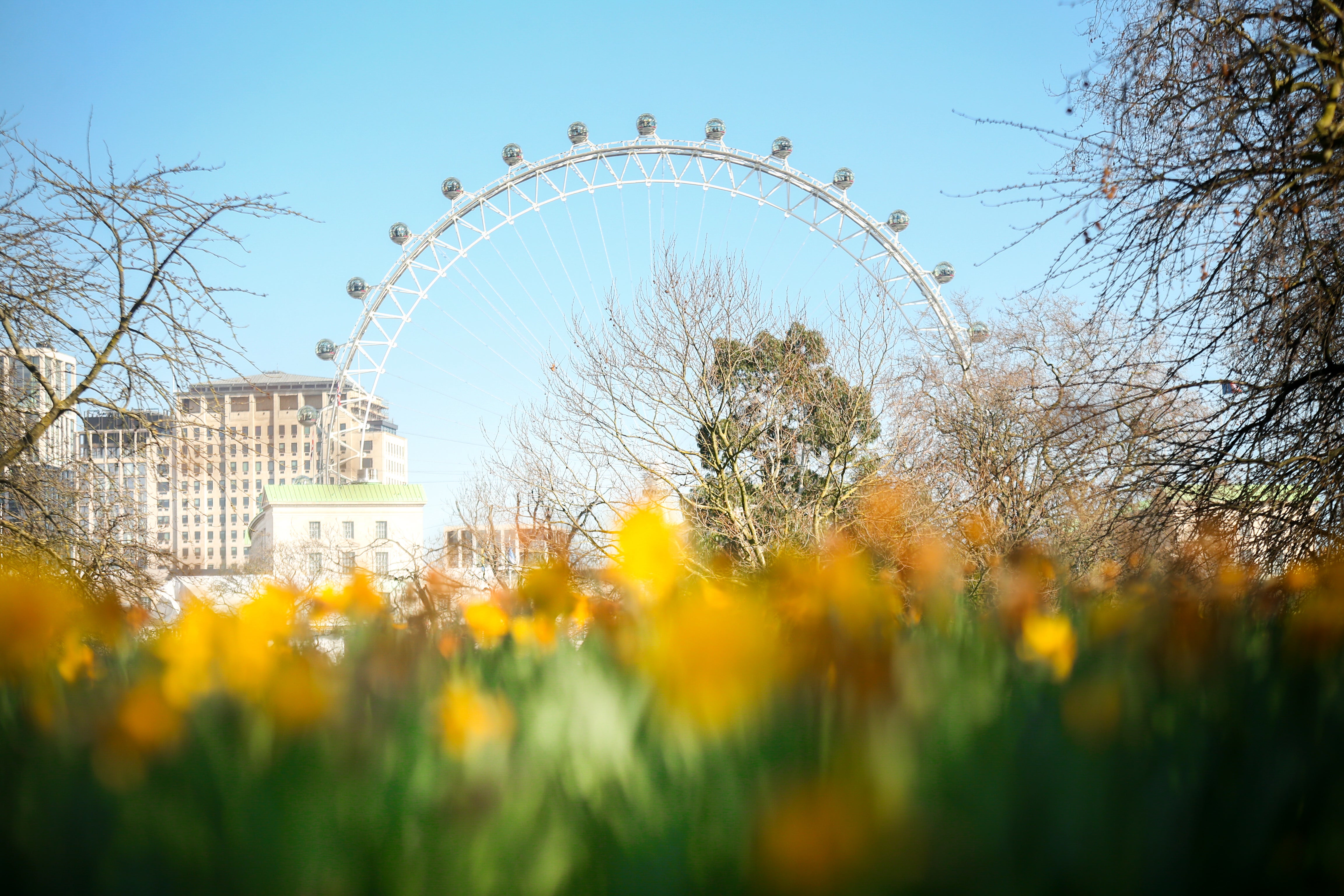 The London Eye can be seen from St James’ Park, central London