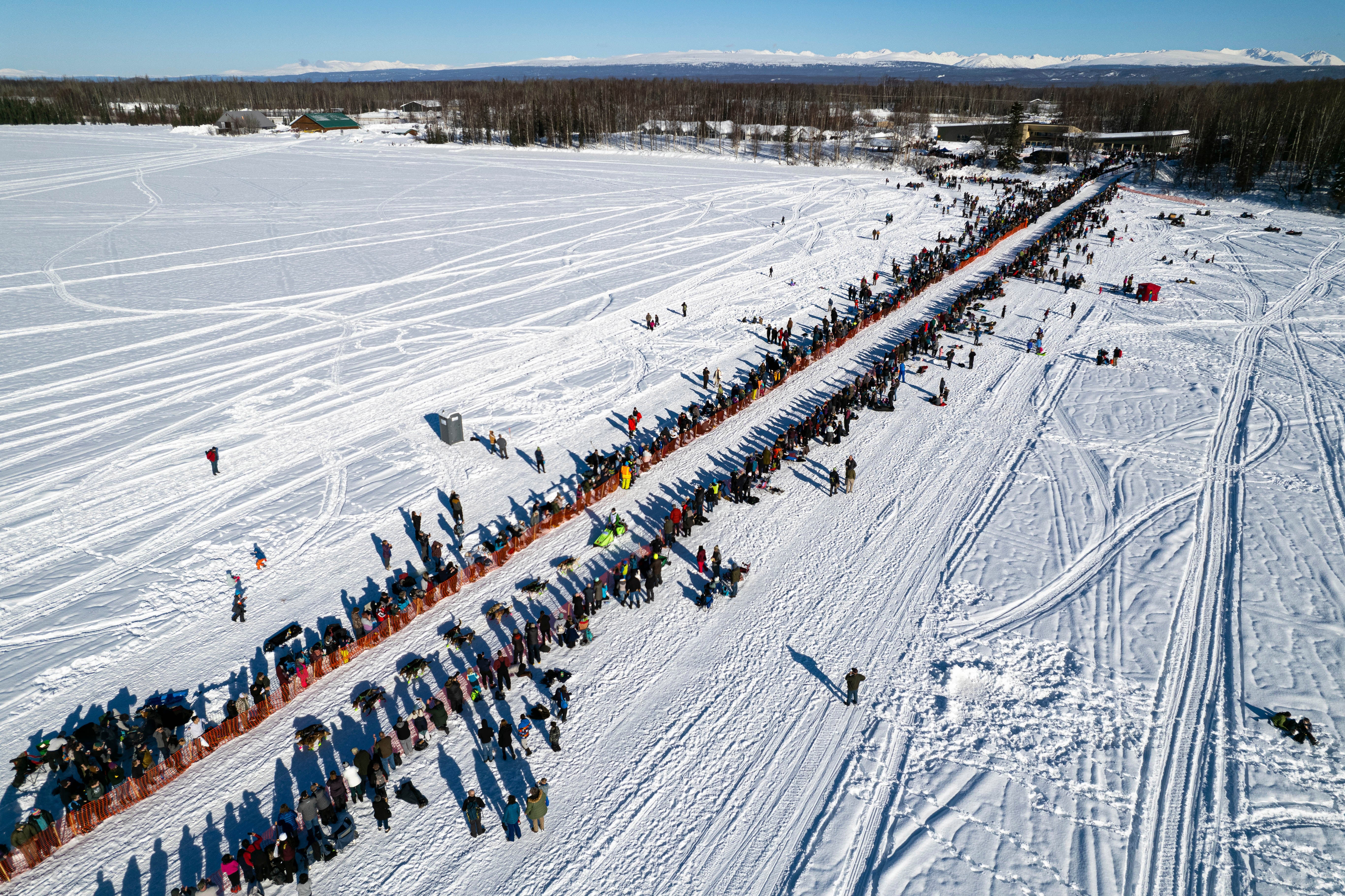 Iditarod Two Rescues