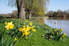 UK weather: Hottest day of year so far as temperature hits 20C — nearly double normal average