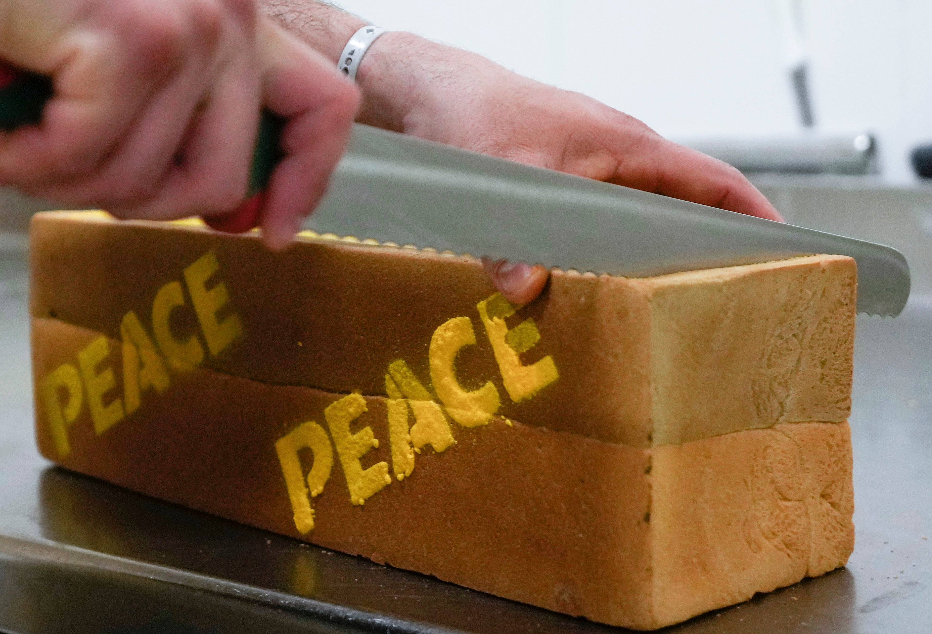 Italy Russia Ukraine War