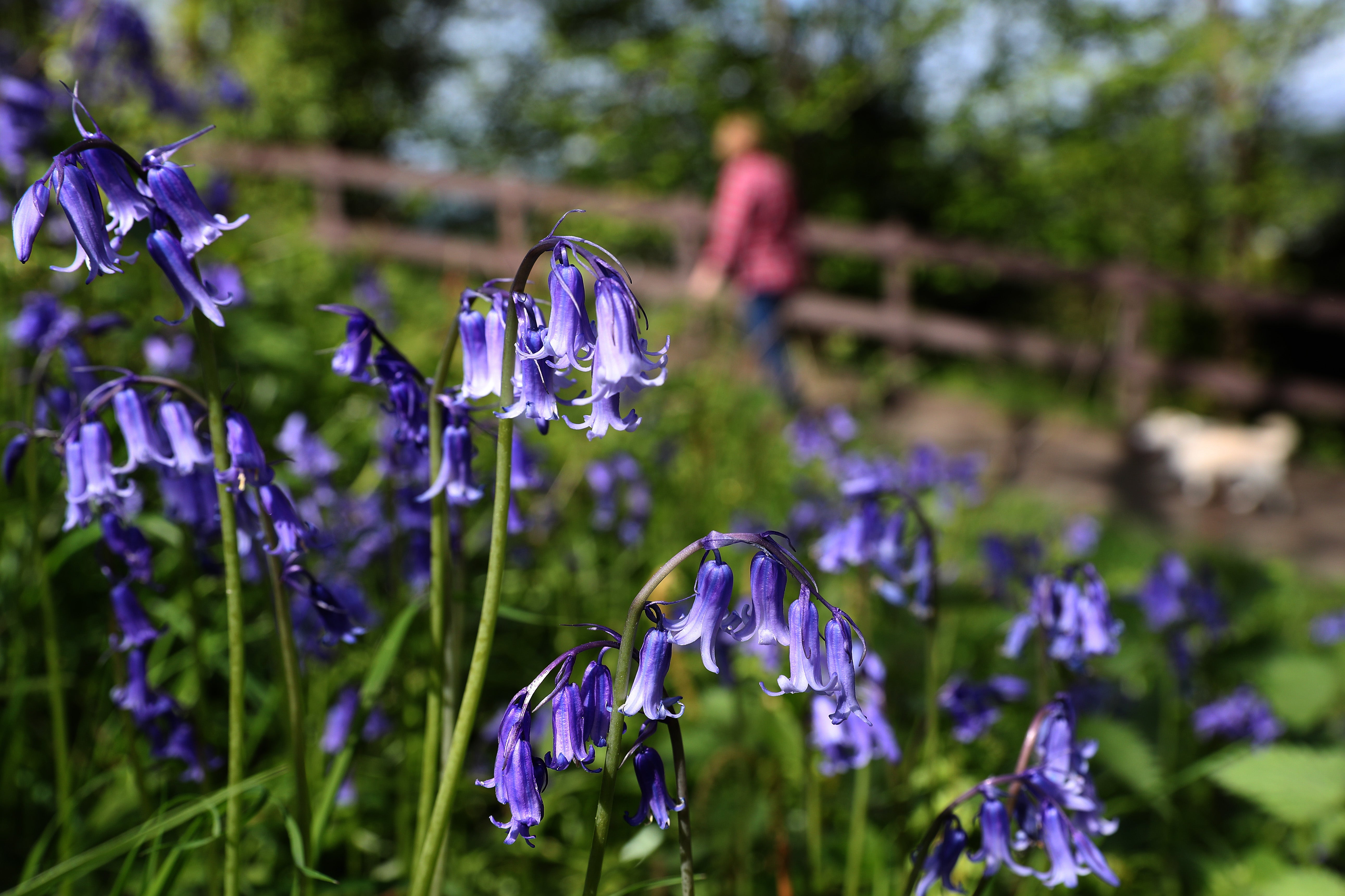 Scotland saw the warmest temperatures across the UK on Saturday (Andrew Milligan/PA)