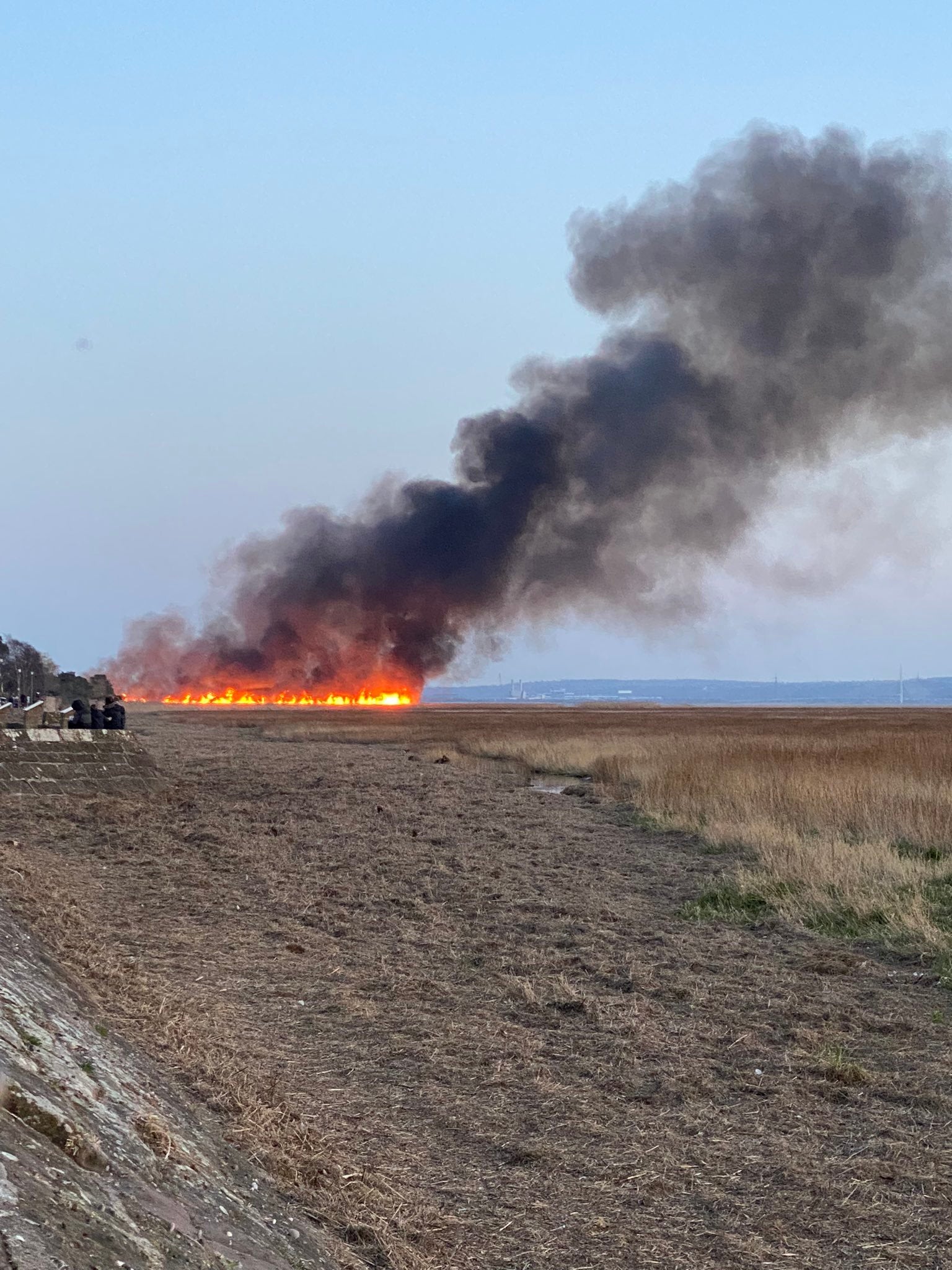 The RSPB said it was ‘shocked and saddened’ by the fire