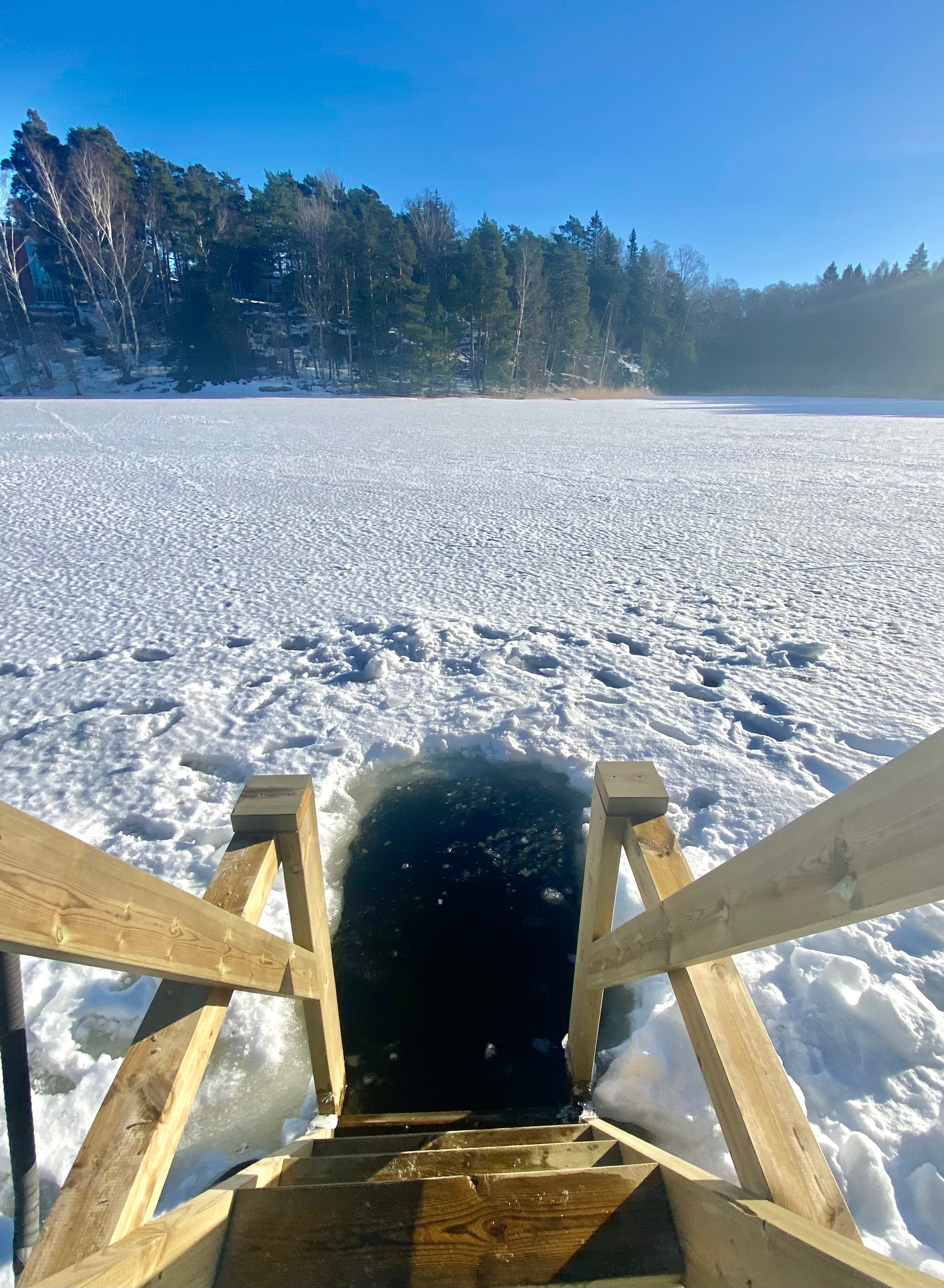 Ice-cold dips surrounded by pure nature in Finland