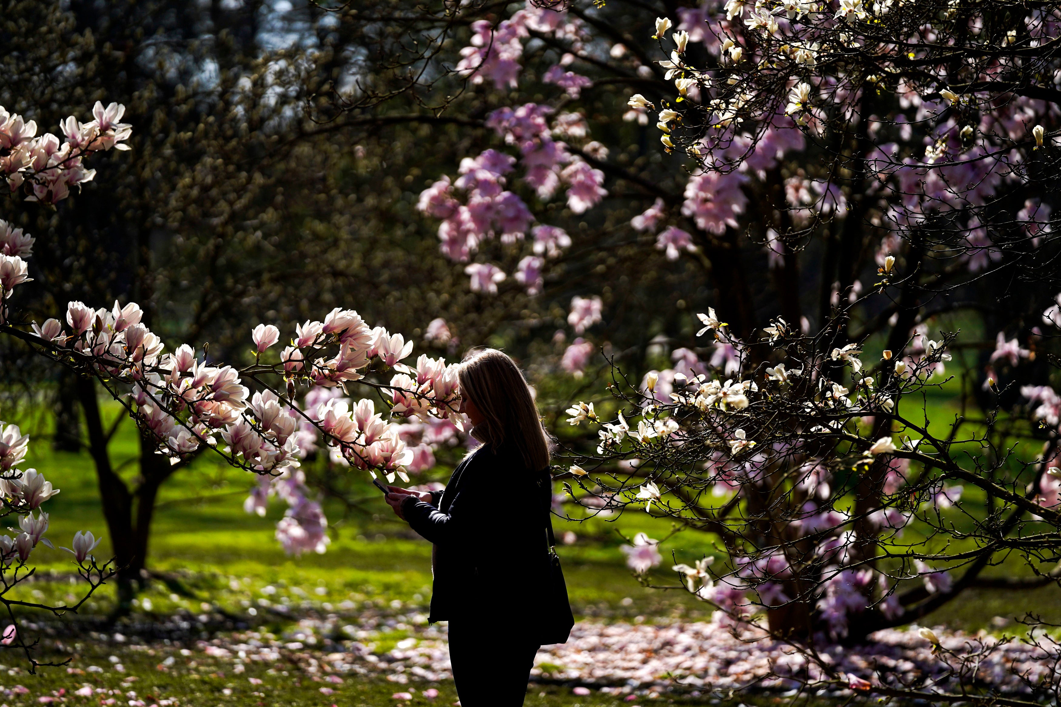 Spring is on the way after a long spell of cold weather and storms