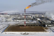 ‘This is madness’: UN warns against turning to fossil fuels because of war in Ukraine