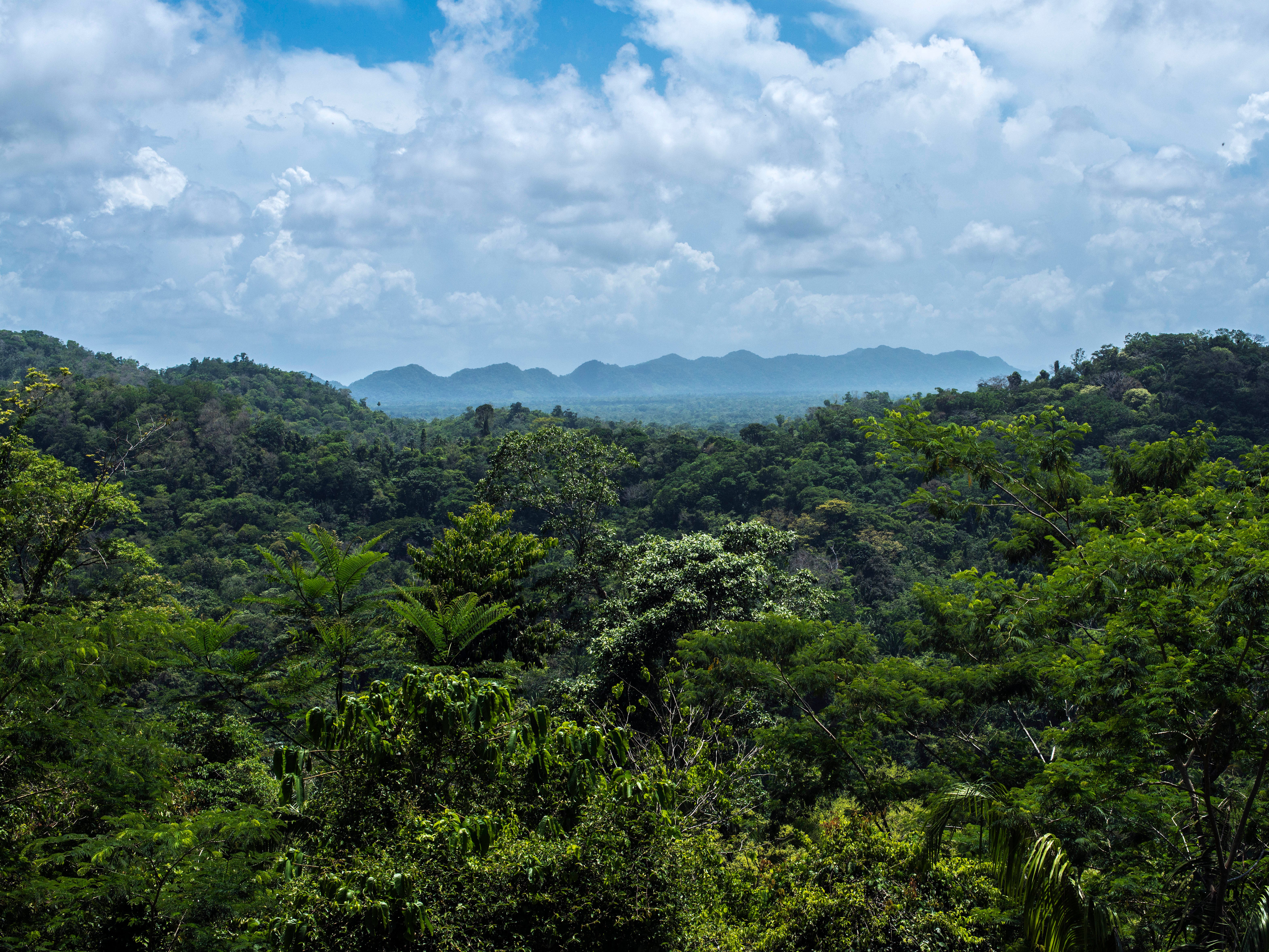 Belize has plenty more to offer than diving