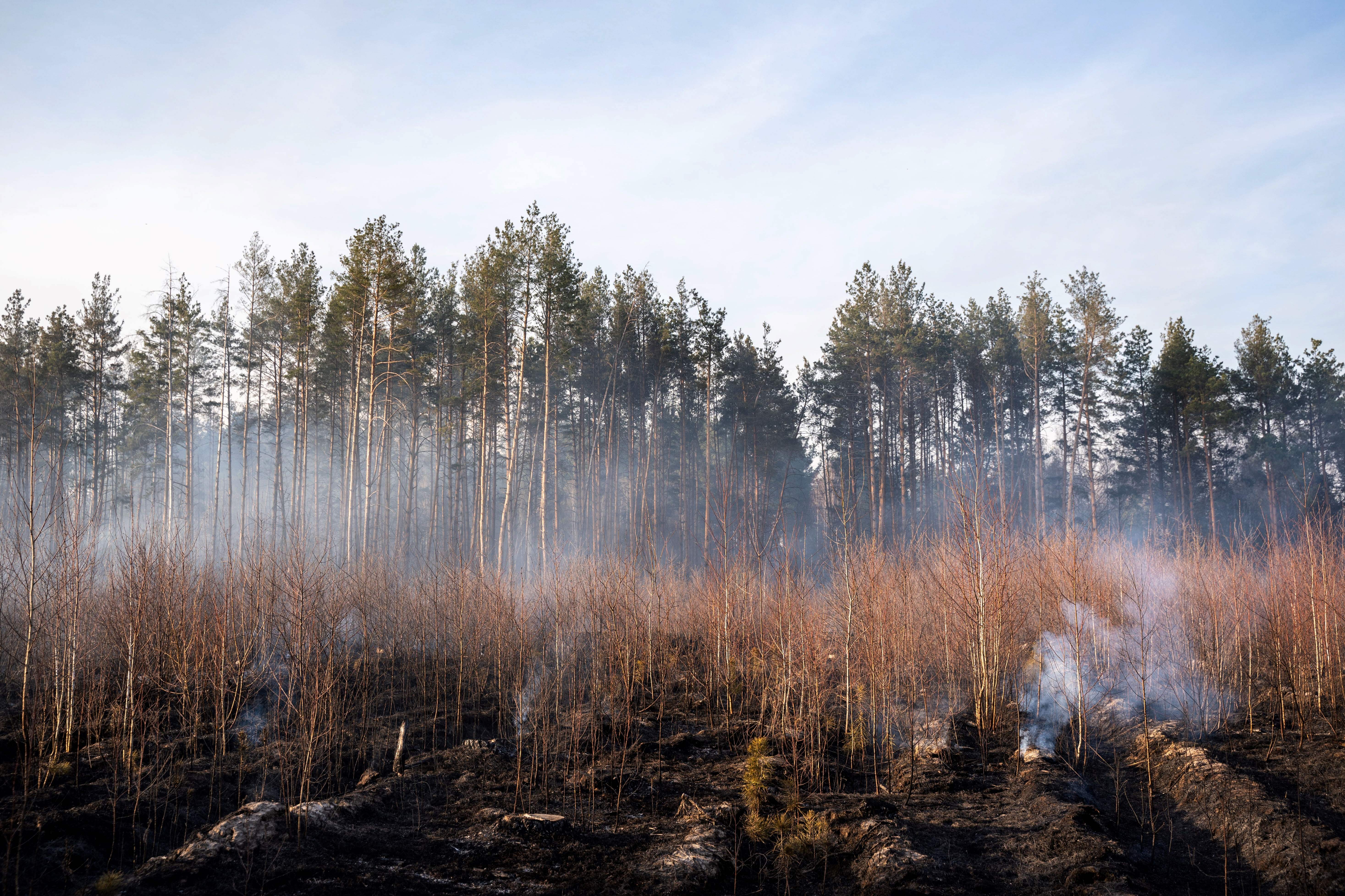 This picture taken on April 12, 2020 shows a forest fire burning at a 30-kilometer (19-mile) Chernobyl exclusion zone in Ukraine, not far from the nuclear power plant