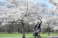 Hay fever warning as temperatures soar to 21C and pollen levels spike