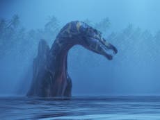 Spinosaurus: Largest prehistoric predator was ‘water-loving’ dinosaur which swam to hunt fish