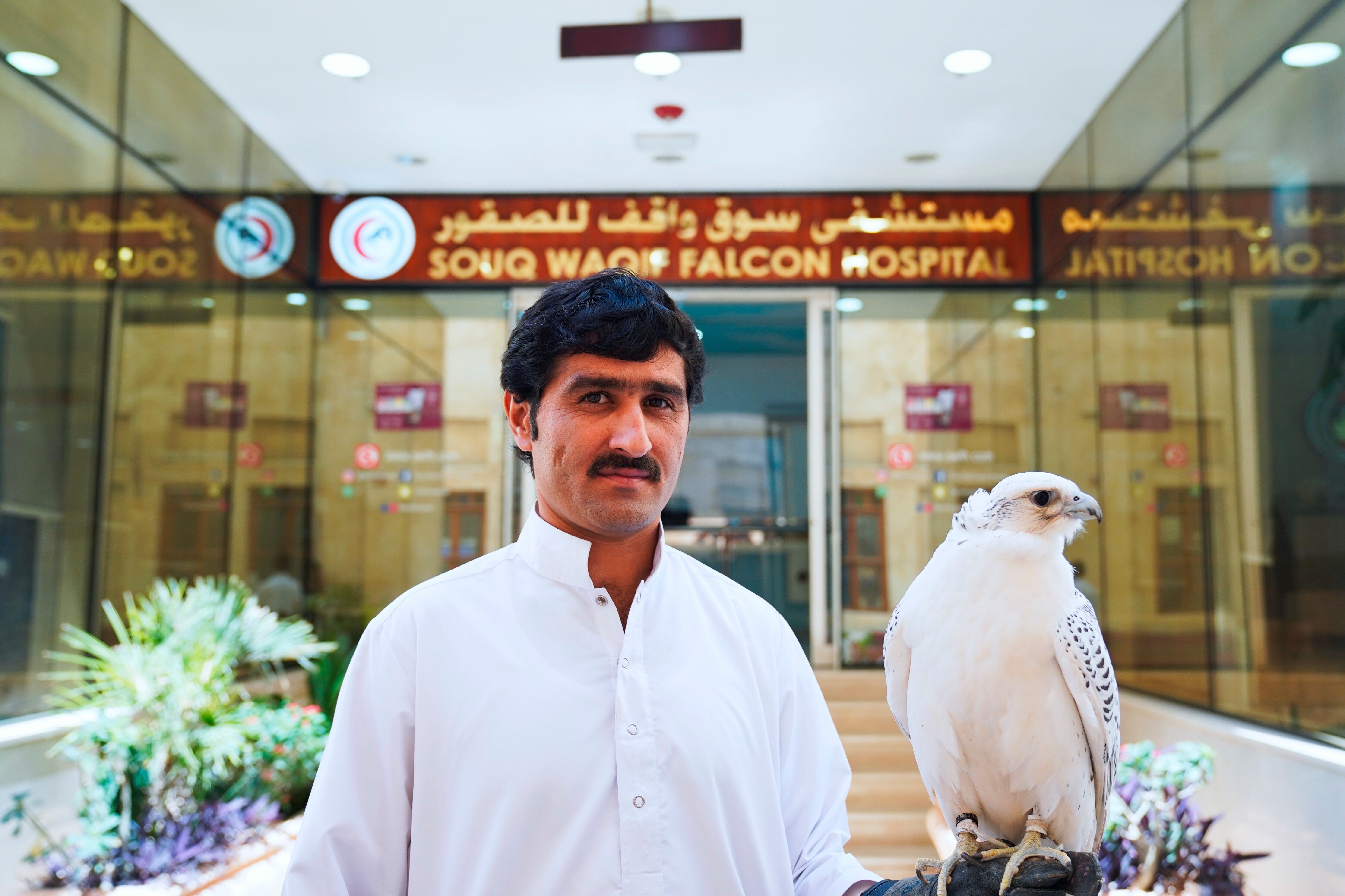 Qatar Falcon Hospital