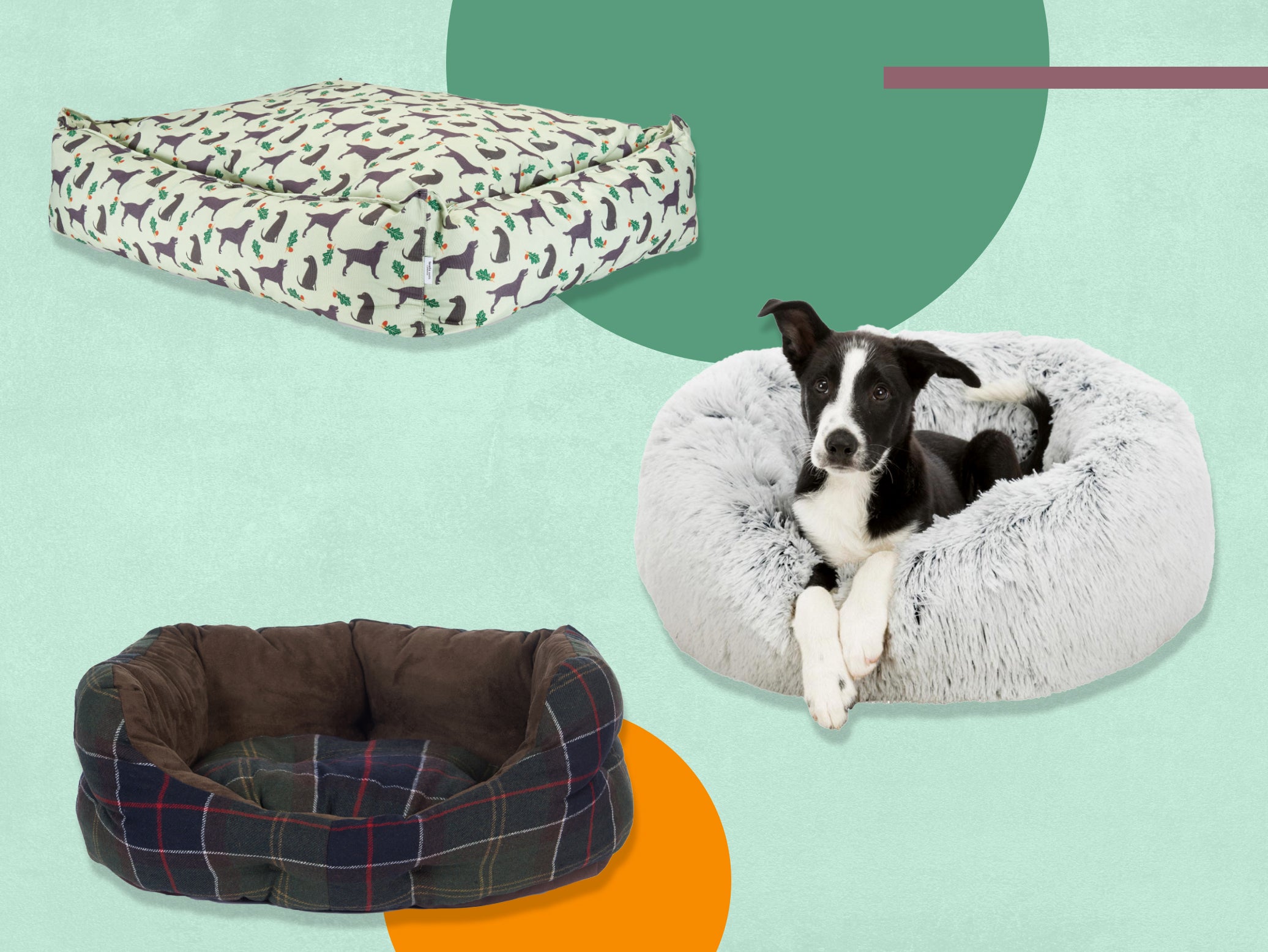 15 best dog beds to keep your four-legged friend comfy and cosy