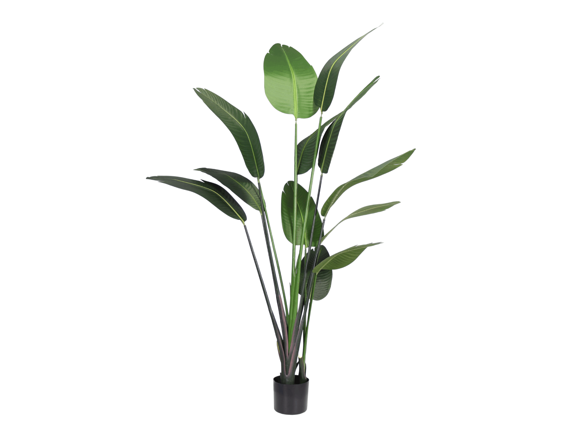 Blooming Artificial artificial strelitzia (1).png