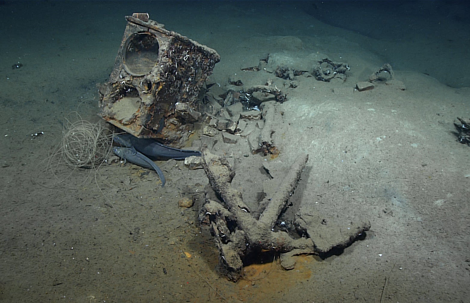 This wreck, approximately 70 miles off the mouth of the Mississippi River, was likely an 19th-century whale