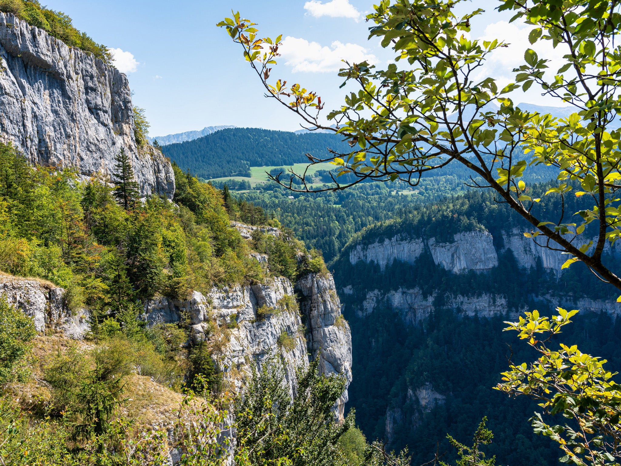 Man jumped from cliff in Bourne gorge