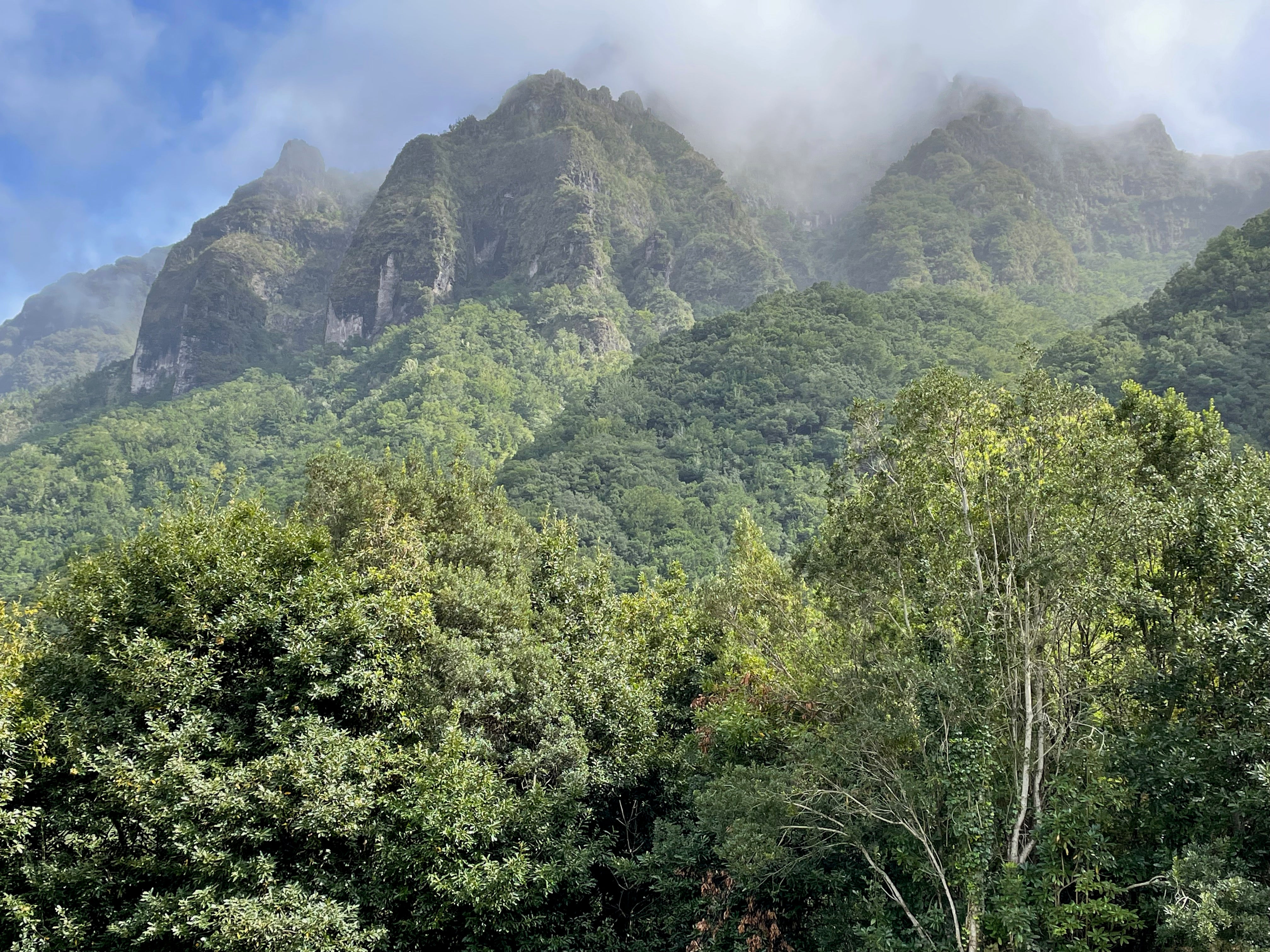 The Sao Vicente mountains wreathed in mist