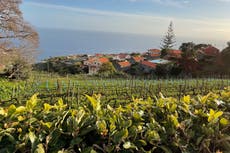 Going to ground: Embracing the agritourism life in Madeira