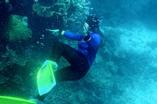 Great Barrier Reef suffers sixth major mass bleaching event