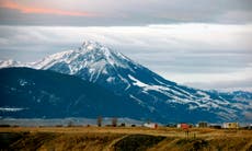 Montana sheriff says hiker killed, grizzly bear suspected