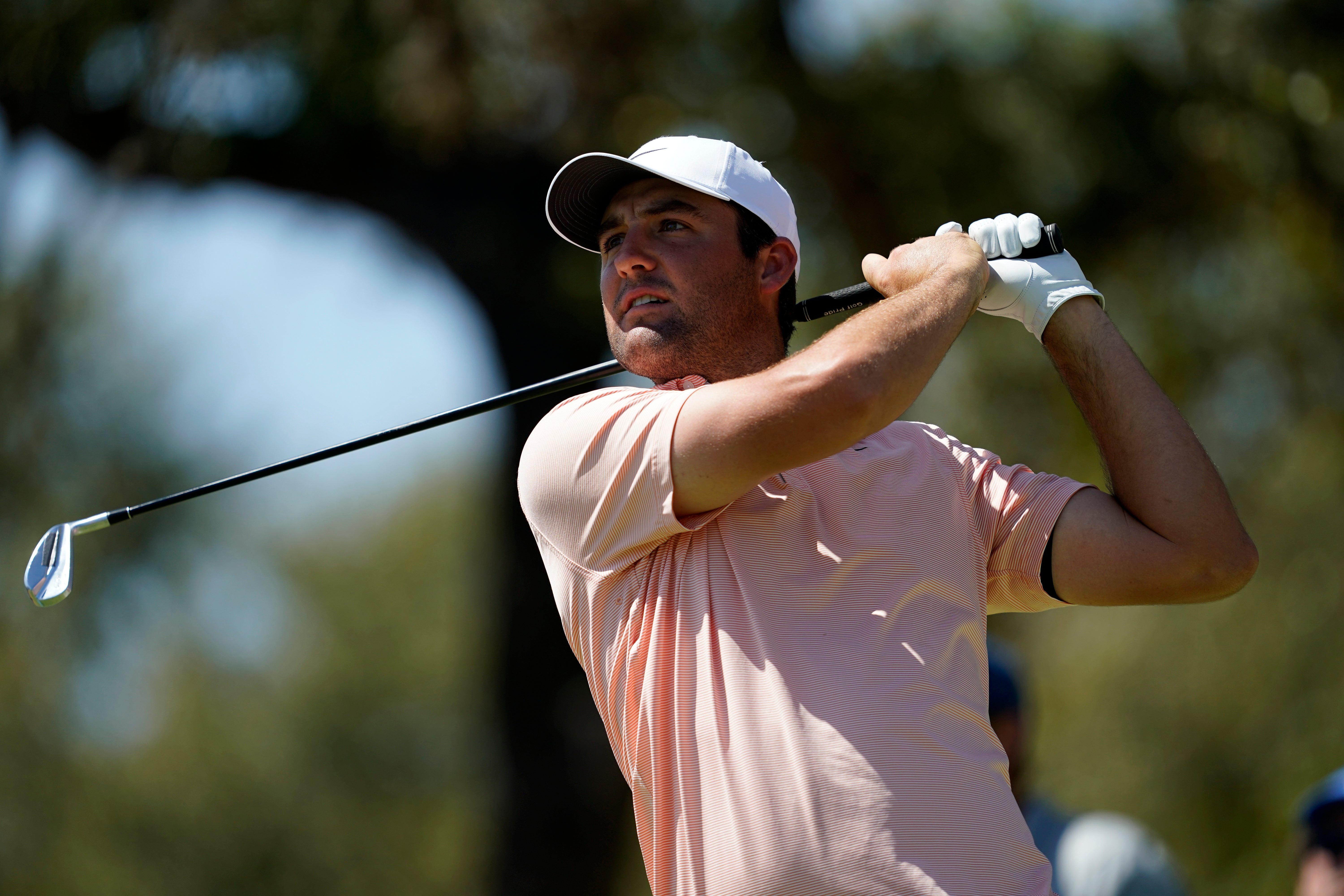 Scottie Scheffler is chasing the world number one spot in Austin (Tony Gutierrez/AP)