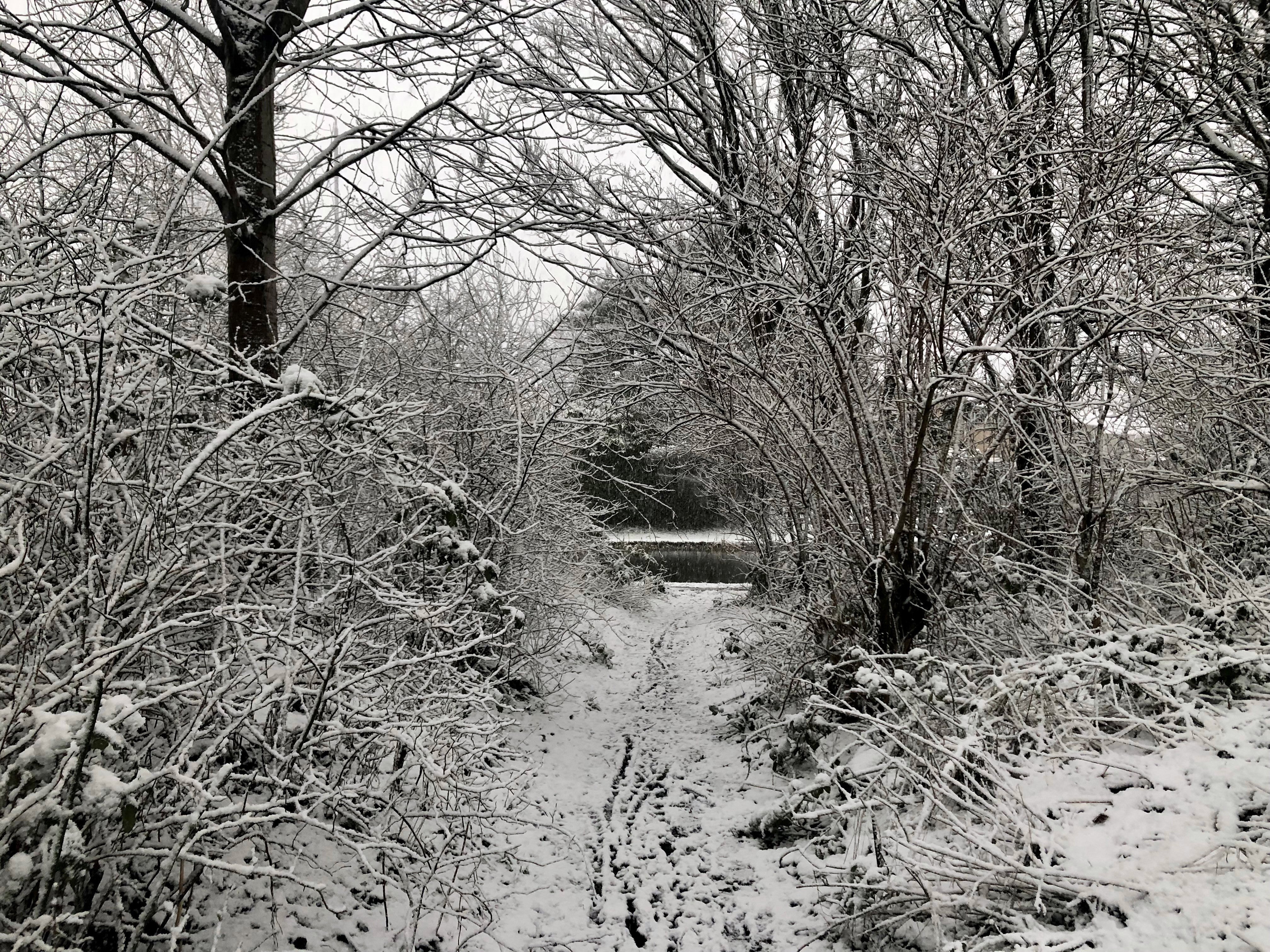 Snow may fall in parts of the country