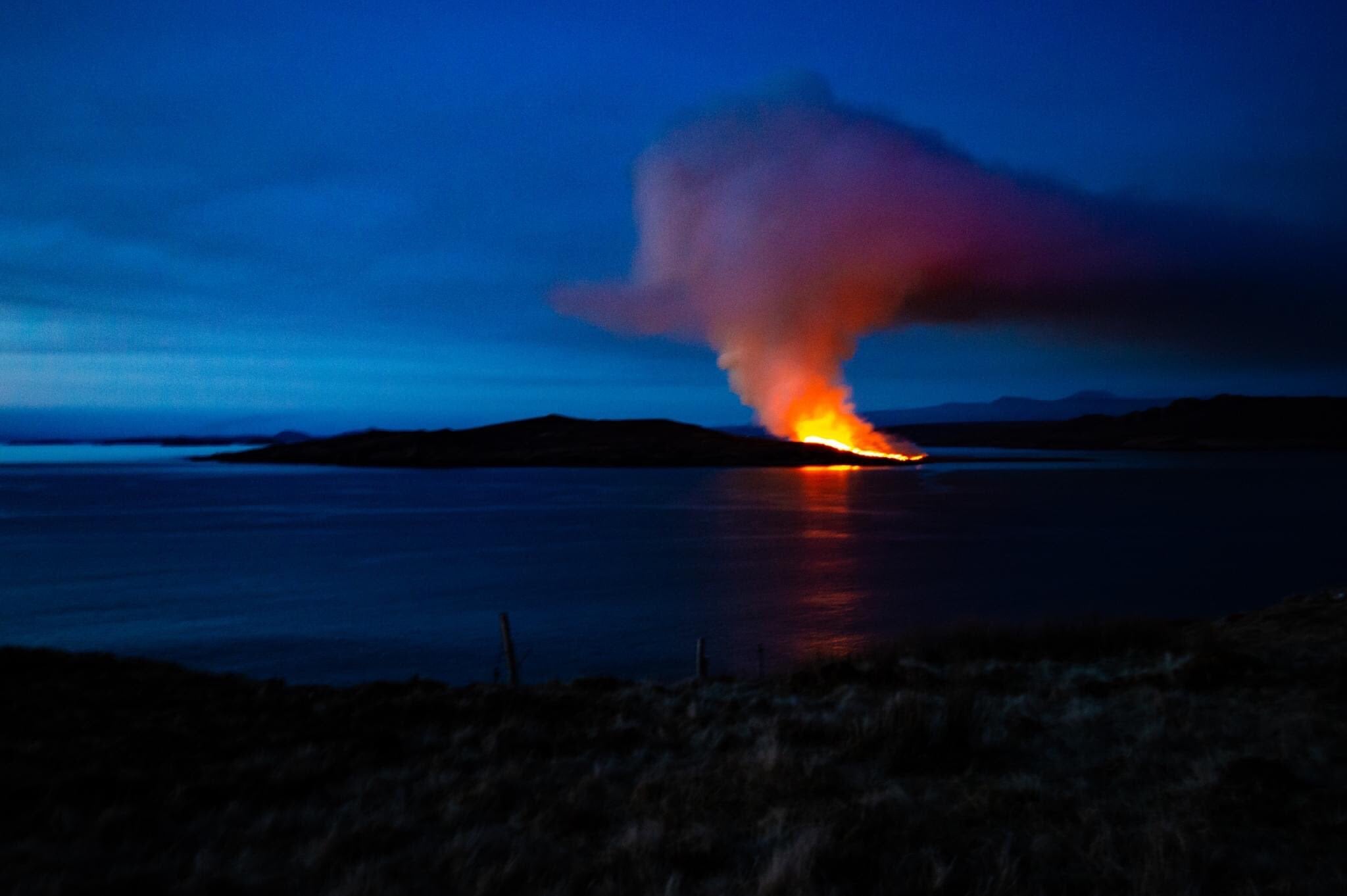 Witnesses described the sound of birds ‘screaming’ during the fire