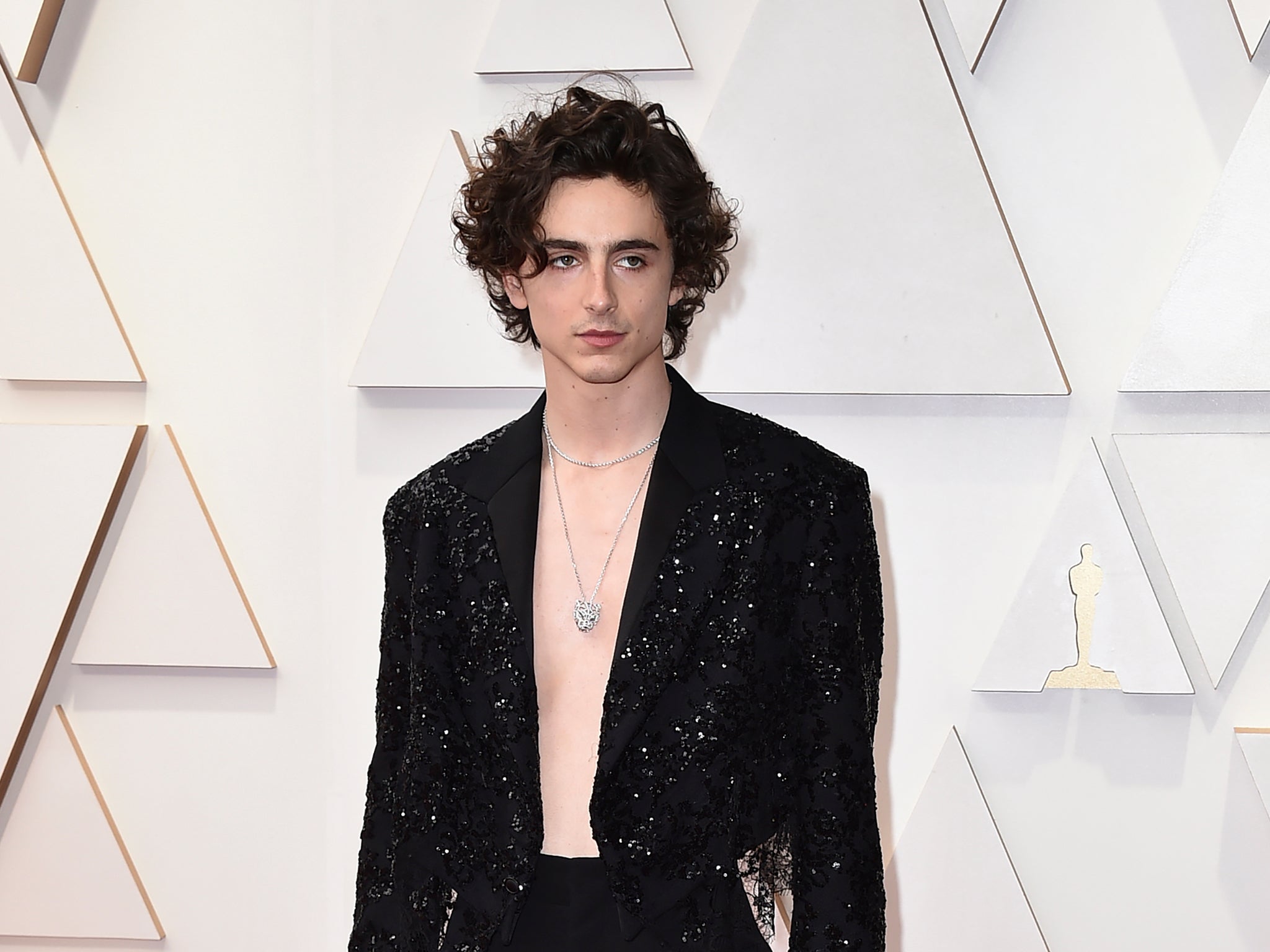 Timothee Chalamet arrives at the Oscars