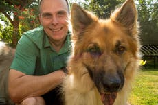 Clinical trials on dogs could extend human lives