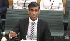 Trade hit from Brexit was ‘always inevitable’, Rishi Sunak tells MPs