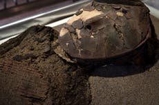 Scientists battle to keep mummified remains under the ground after ‘black goo’ threat