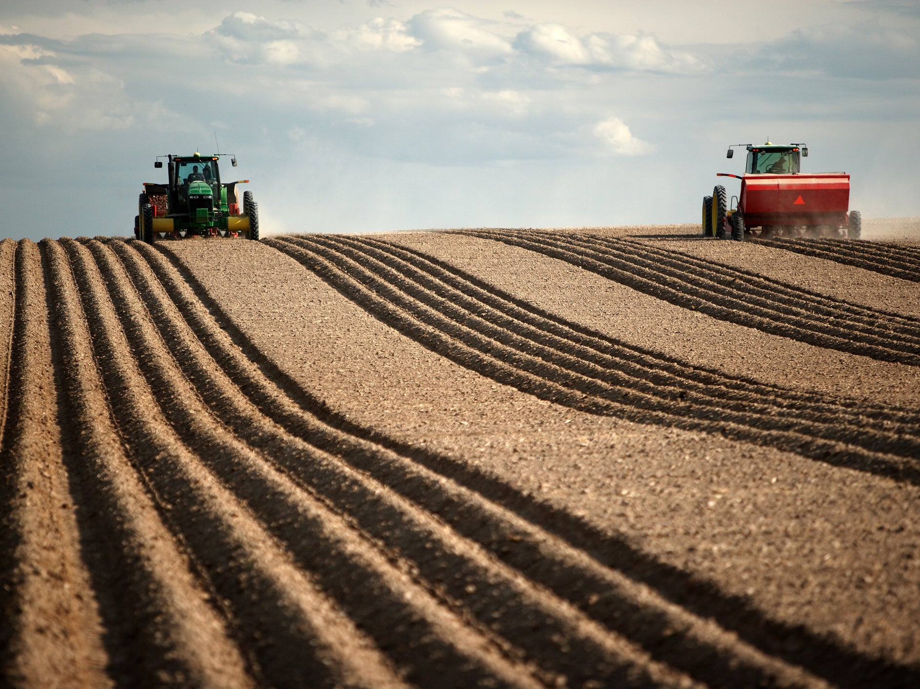 A wave of homogeneity across the world is standardising unhealthy human diets and damaging ecosystems