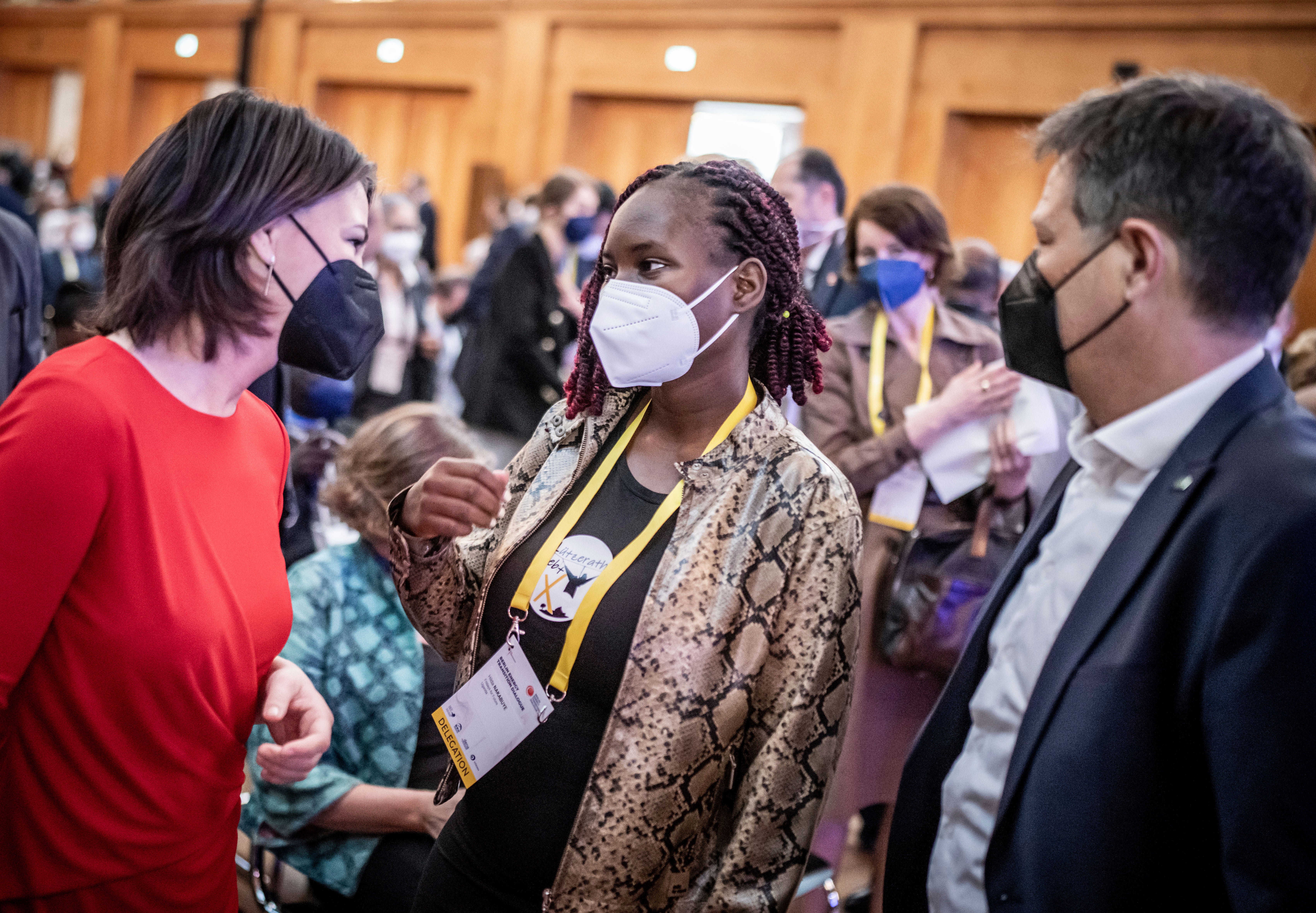 Renewable energy chief: climate goals need 'radical action'