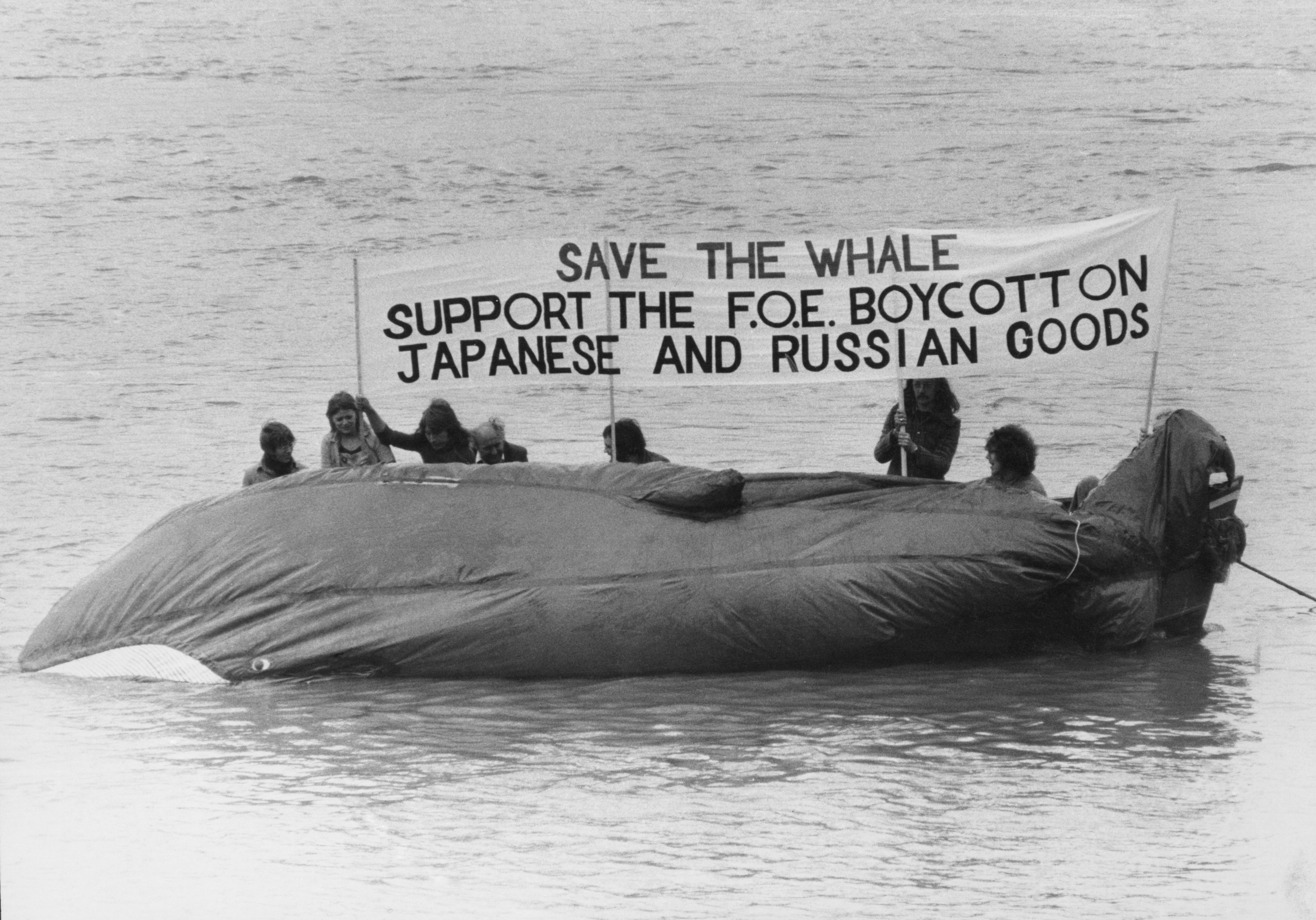 The Save the Whale movement back in the Seventies inspired Greenpeace, which in turn inspired the climate crisis activists