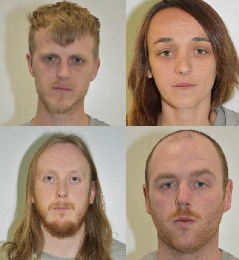 Clockwise from top left: Liam Hall, Stacey Salmon, Daniel Wright and Samuel Whibley