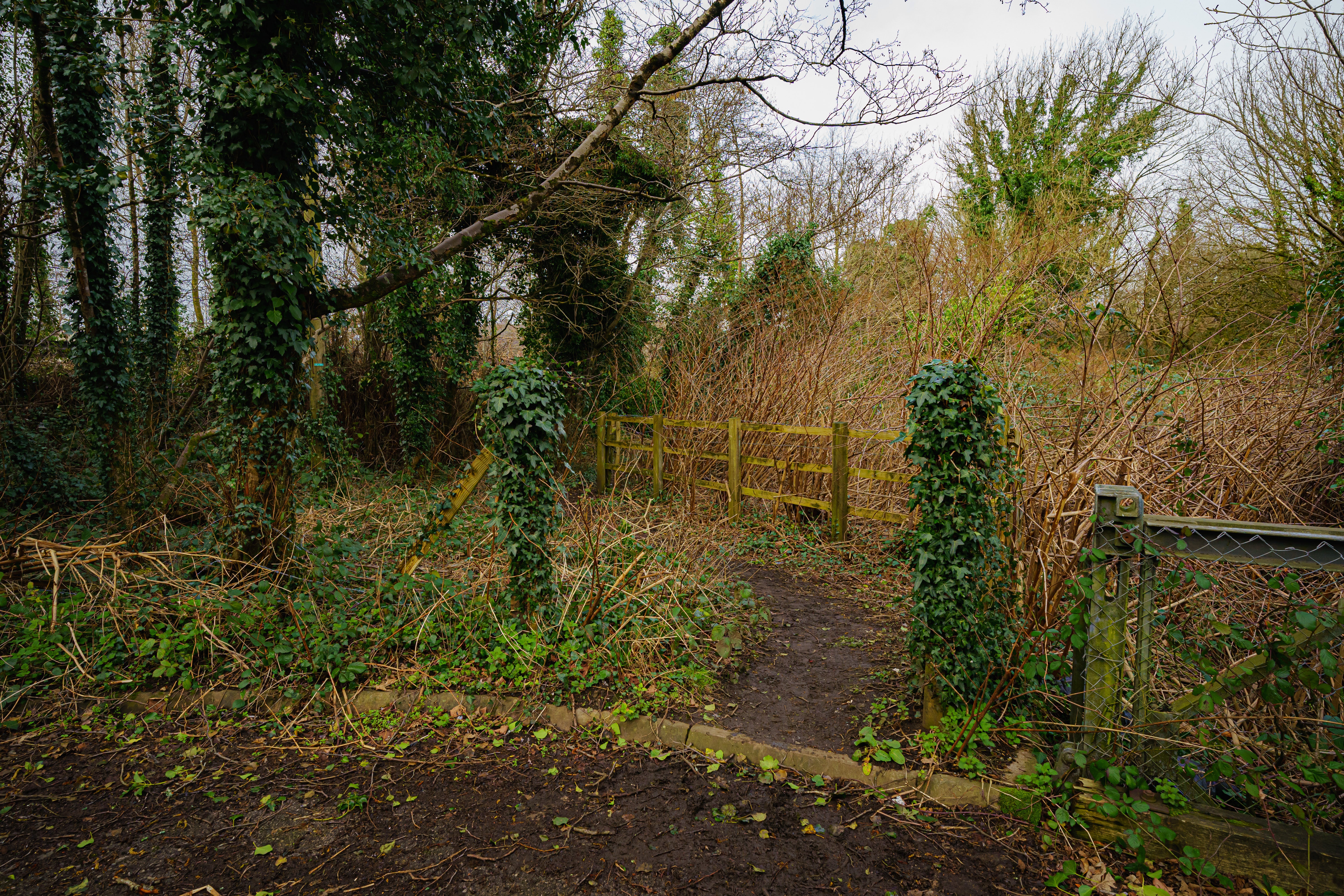 The entrance to a small wooded area adjacent to the Llynfi River in Sarn, Bridgend, which leads to where five-year-old Logan Mwangi’s pyjama top was discovered (Ben Birchall/PA)