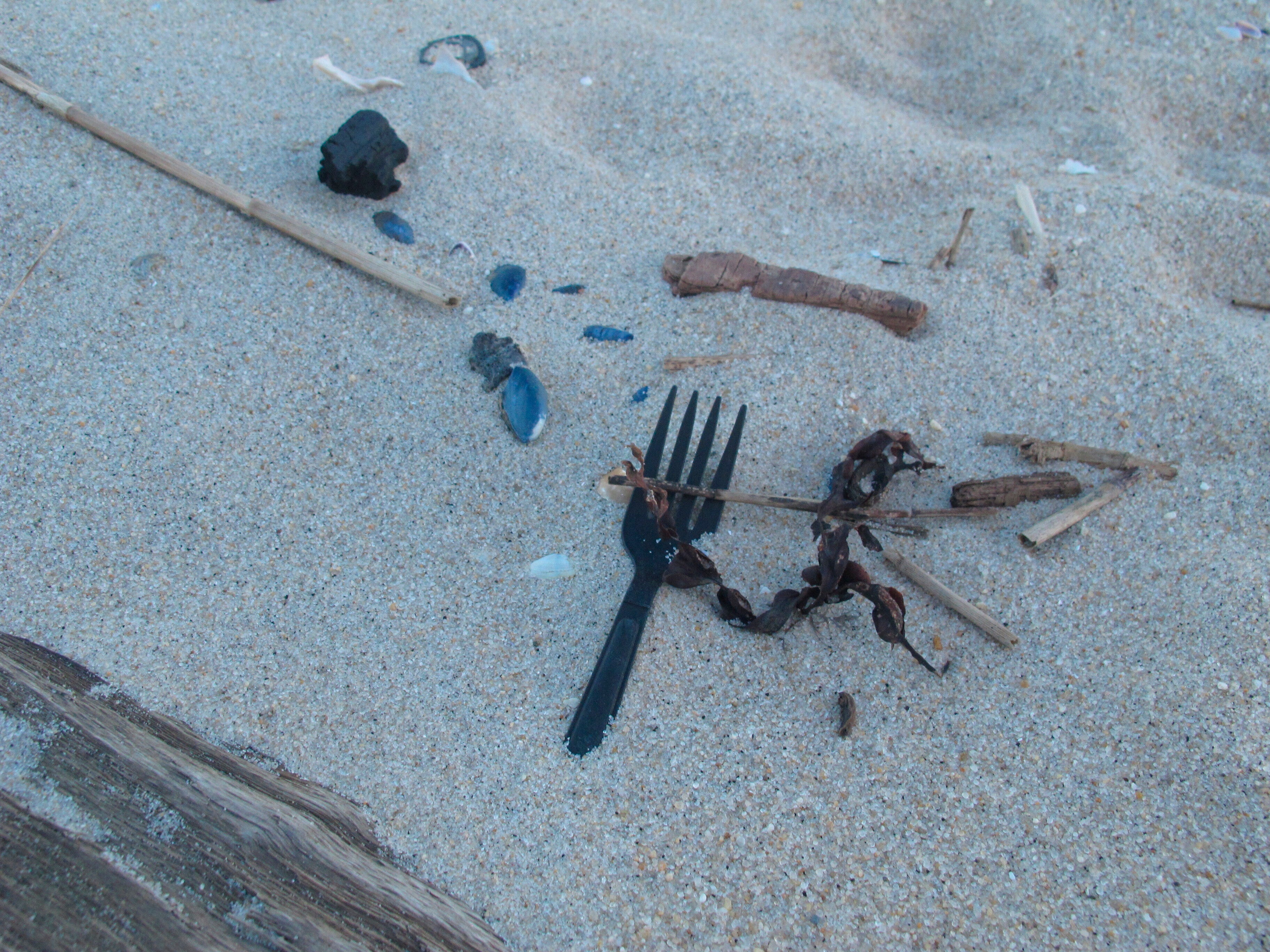 New Jersey Beach Trash