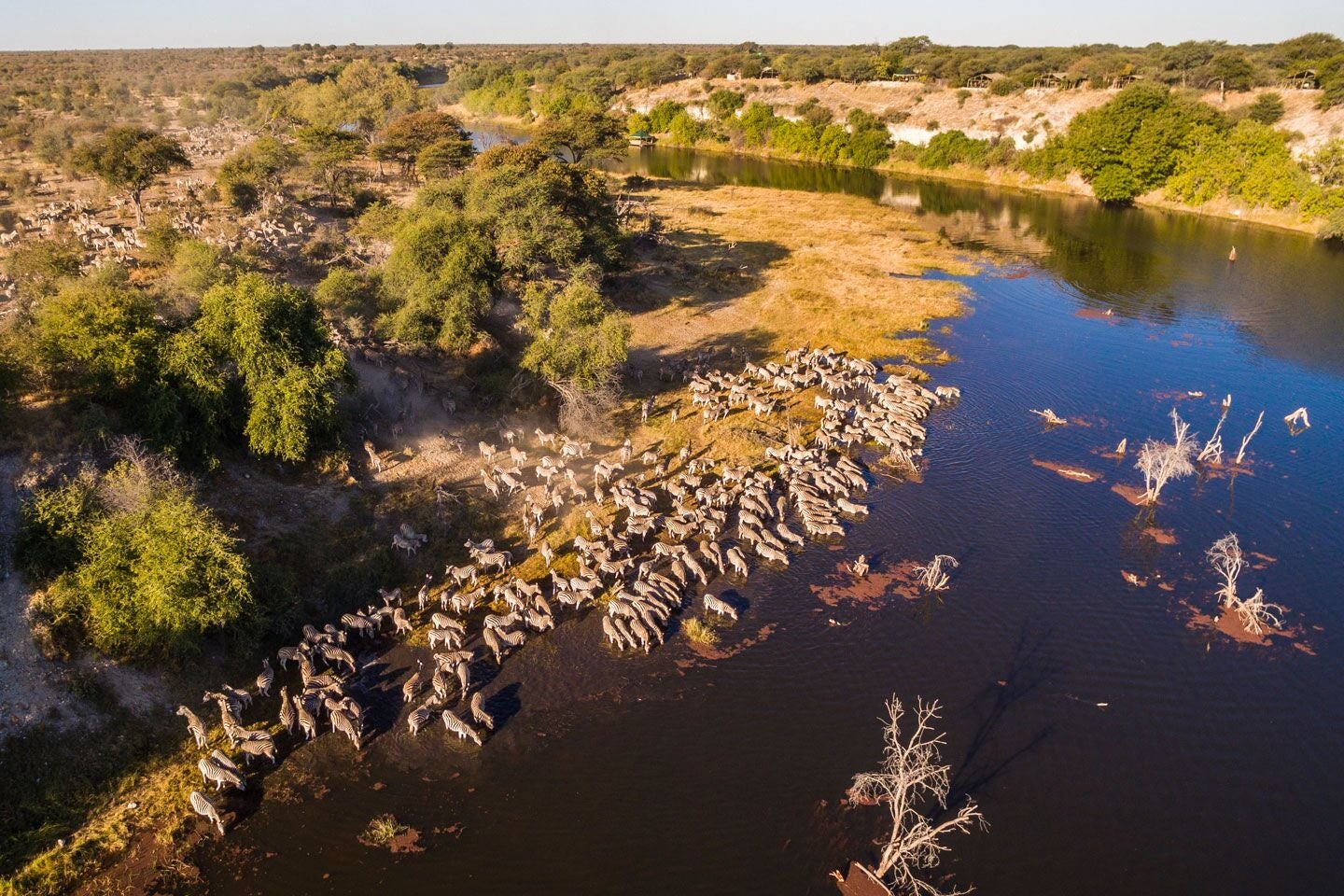 Meno a Kwena sits on the banks of the Boteti River