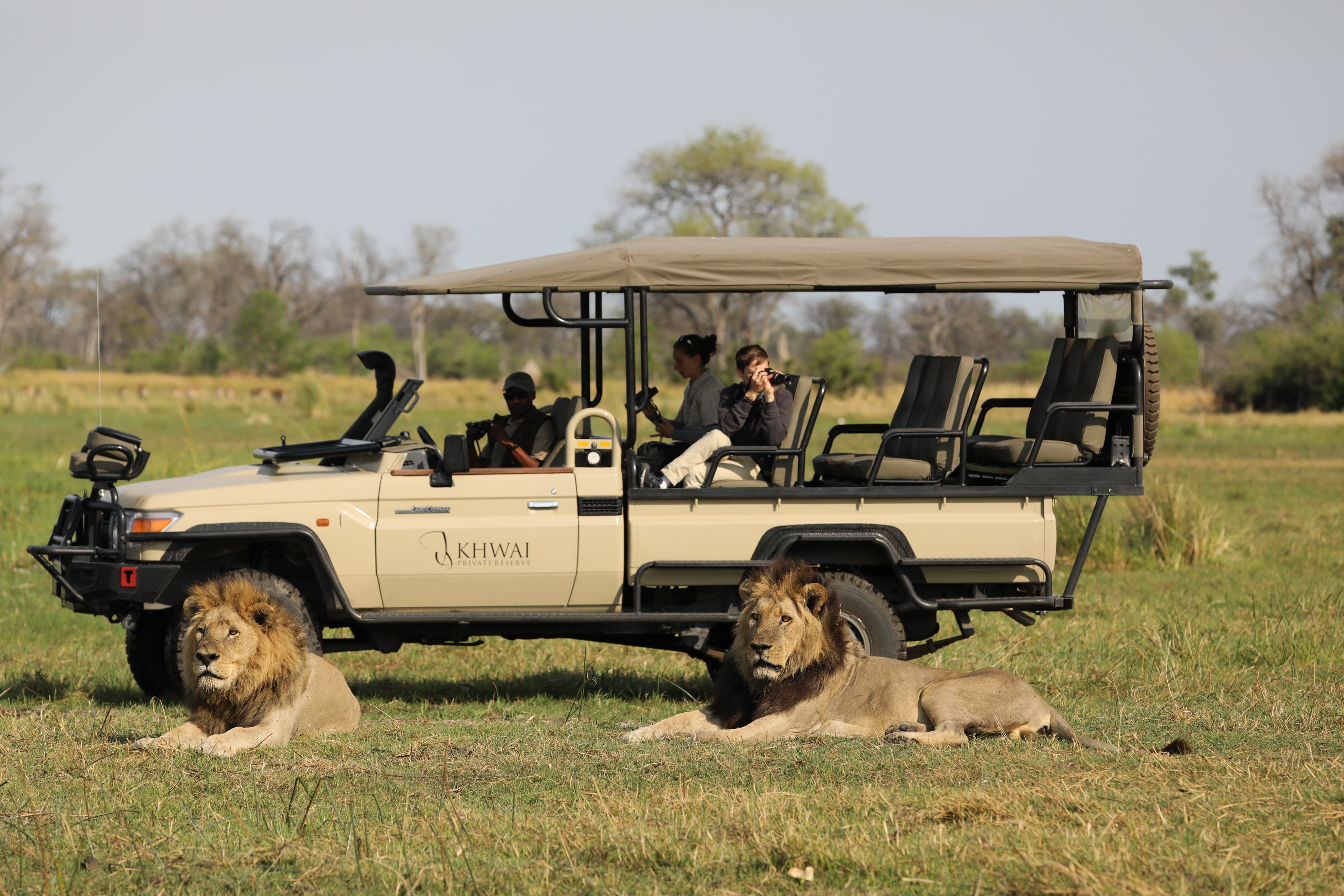 Khwai reserve, in the Greater Okavango region, has exceptional safari sightings