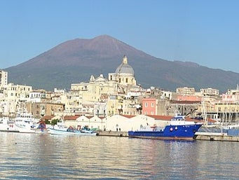 The ant was found in a residential area of Torre Annunziata, in Naples