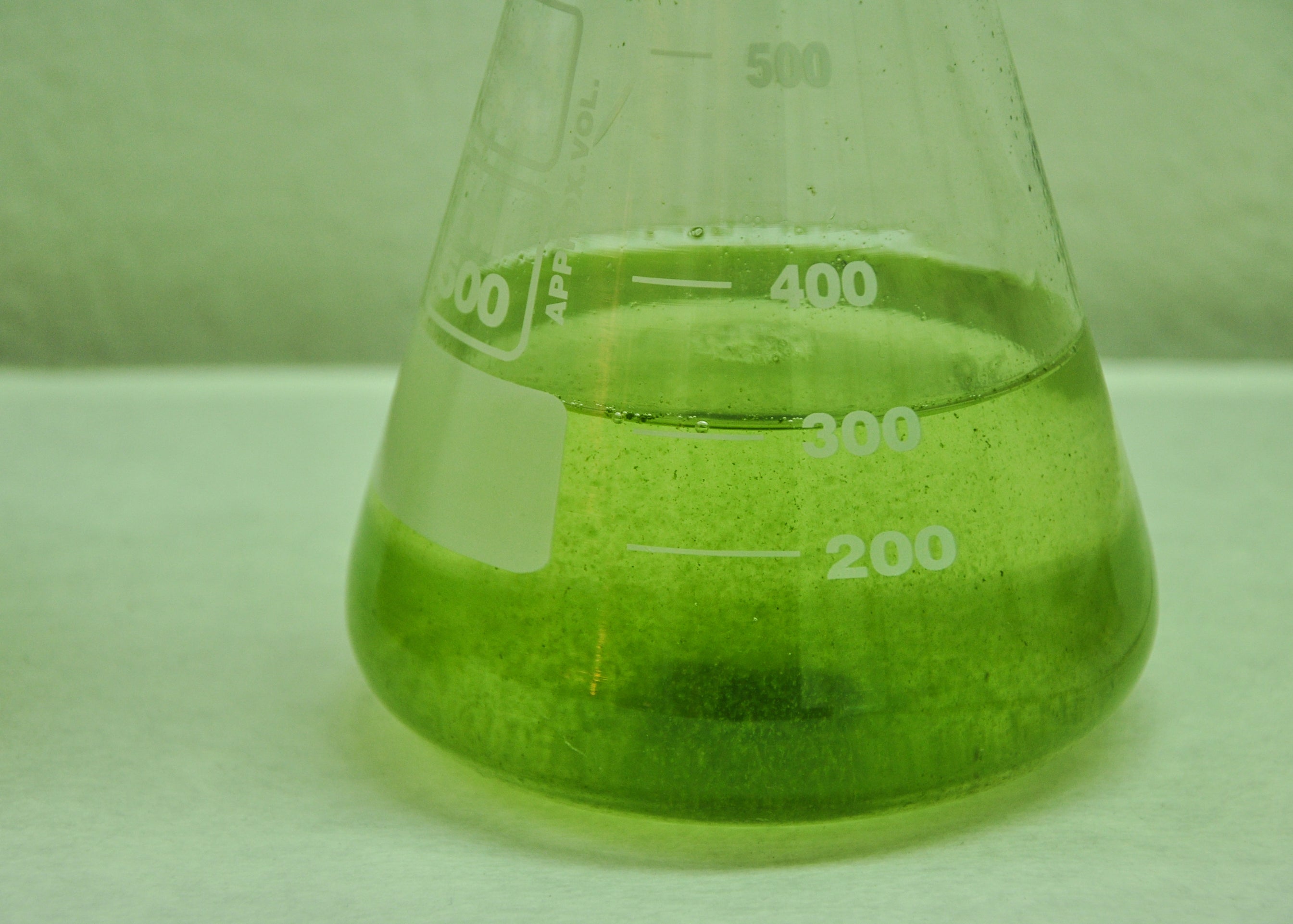 There is strong potential to reduce food security-related issues with microalgae